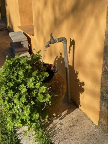 Garden in Dominio Vale Flores