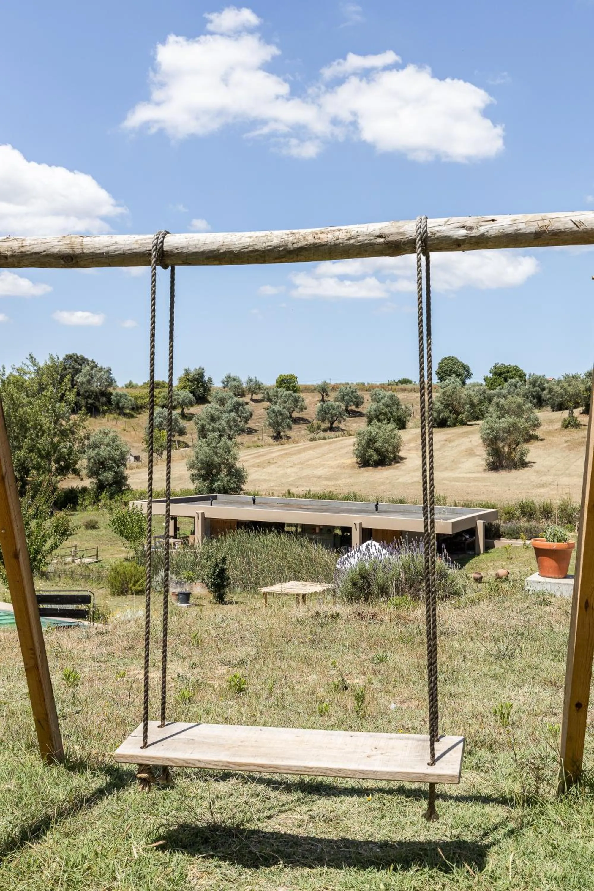 View (from property/room) in Dominio Vale Flores