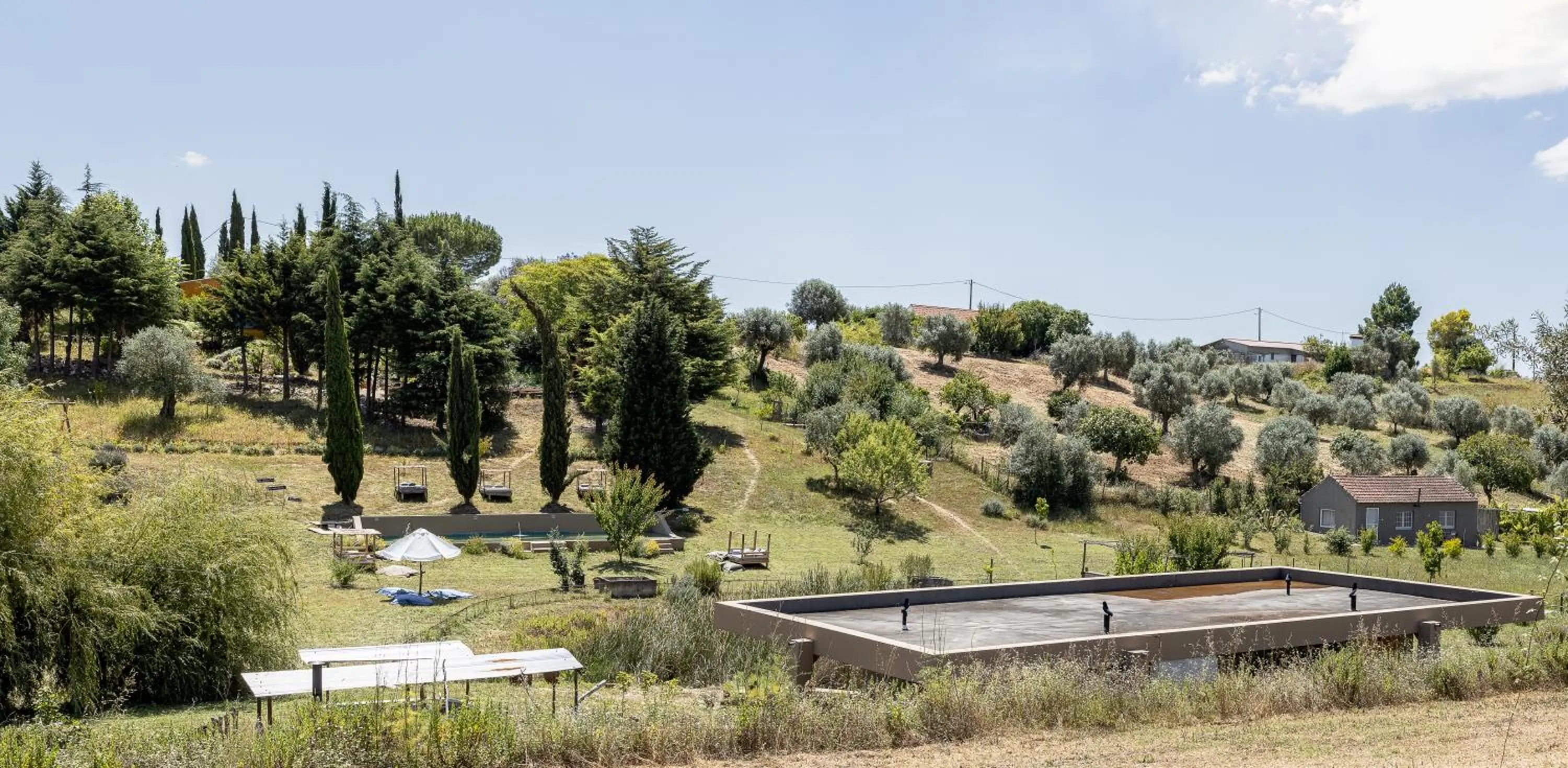View (from property/room) in Dominio Vale Flores