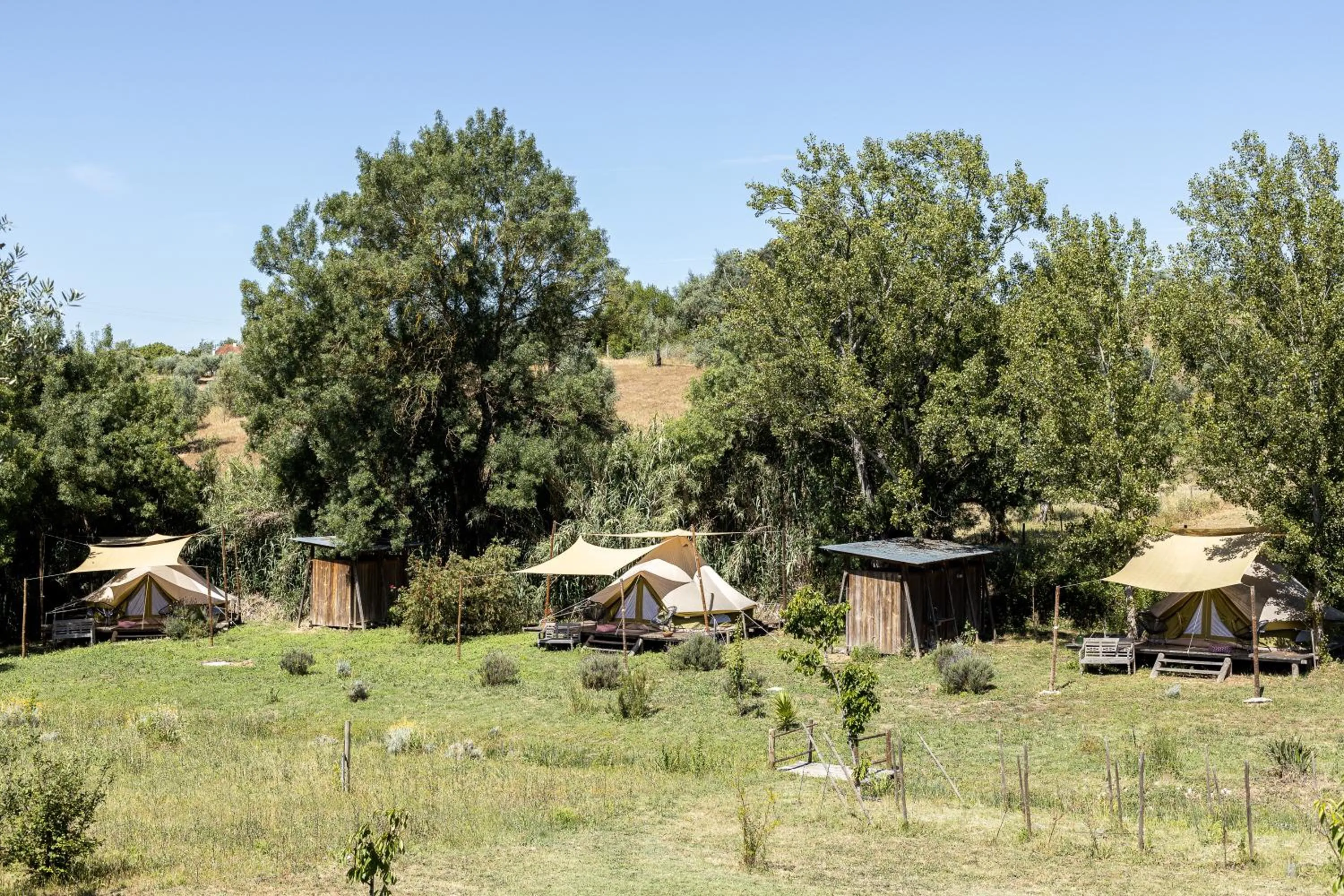 Garden in Dominio Vale Flores