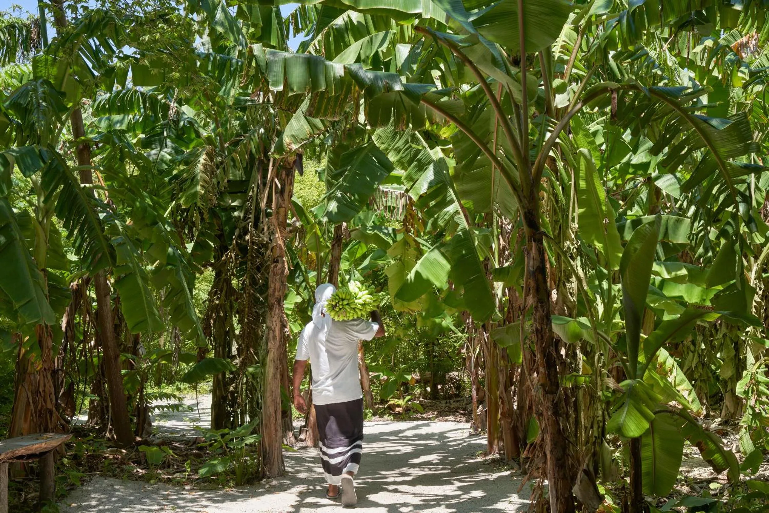 Garden in Villa Park Sun Island Resort