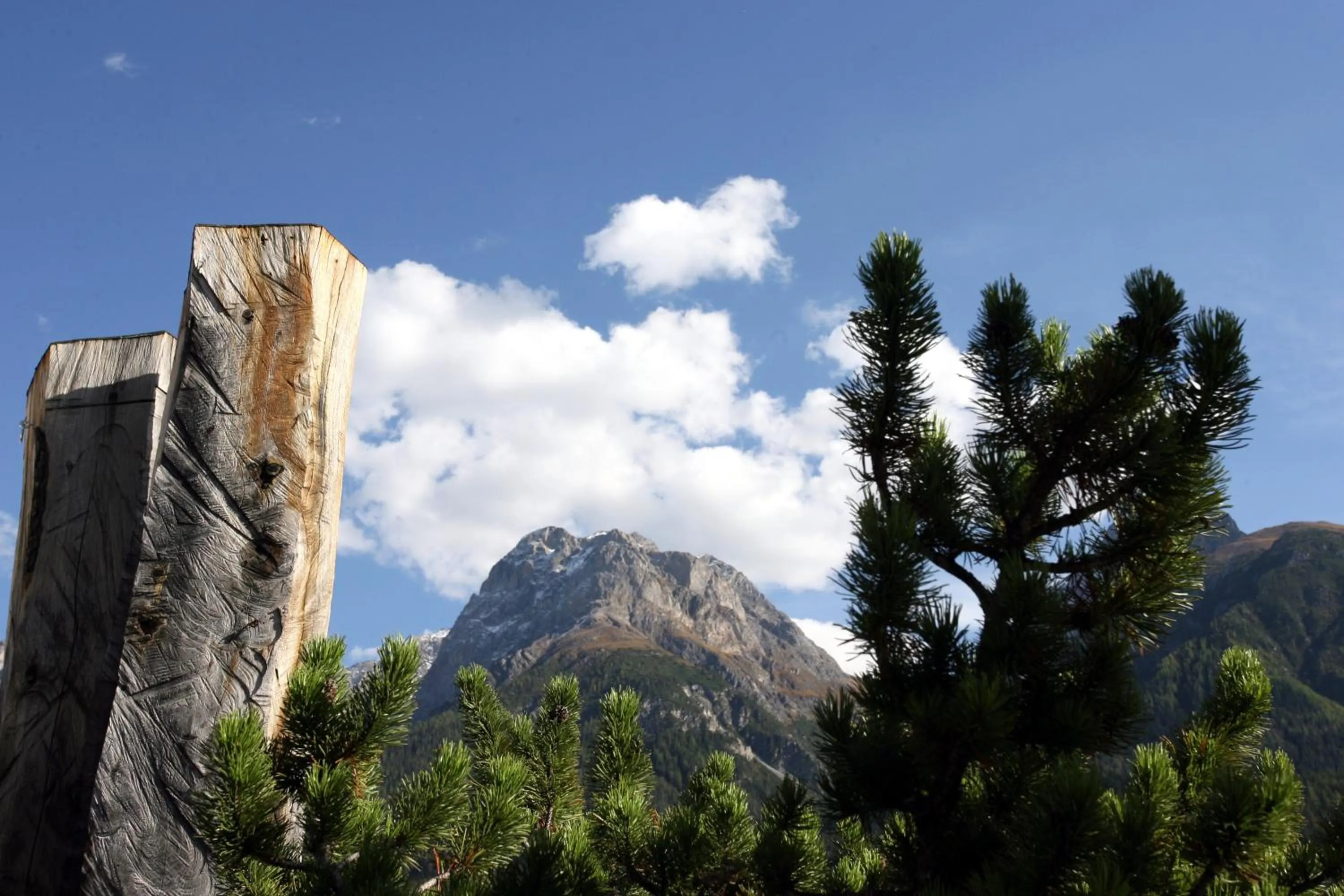 Balcony/Terrace in Hotel Traube