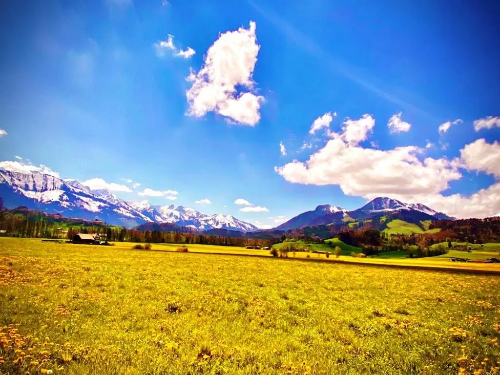 Natural landscape in Hôtel de Ville