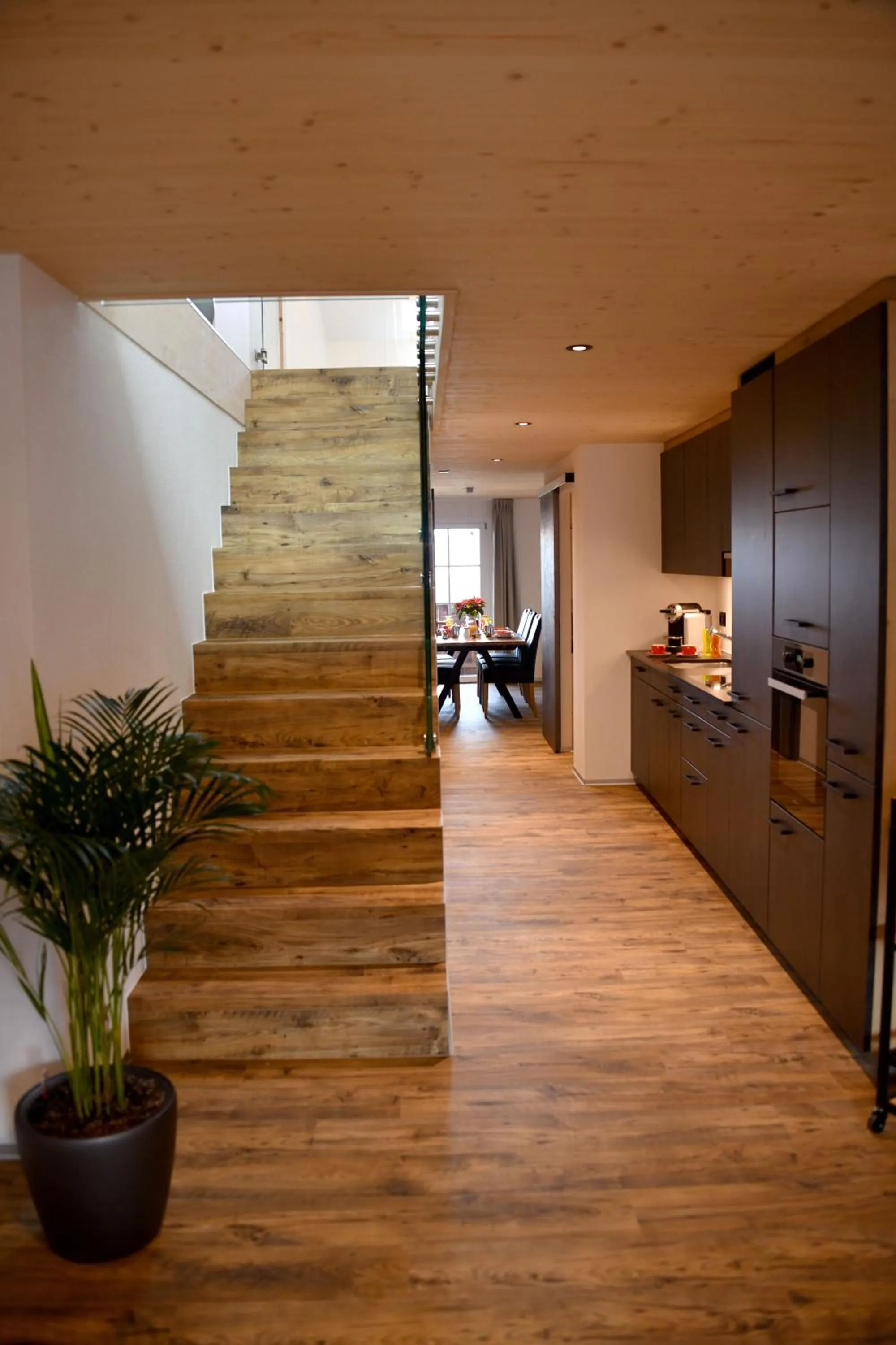 pet friendly in Hôtel de Ville