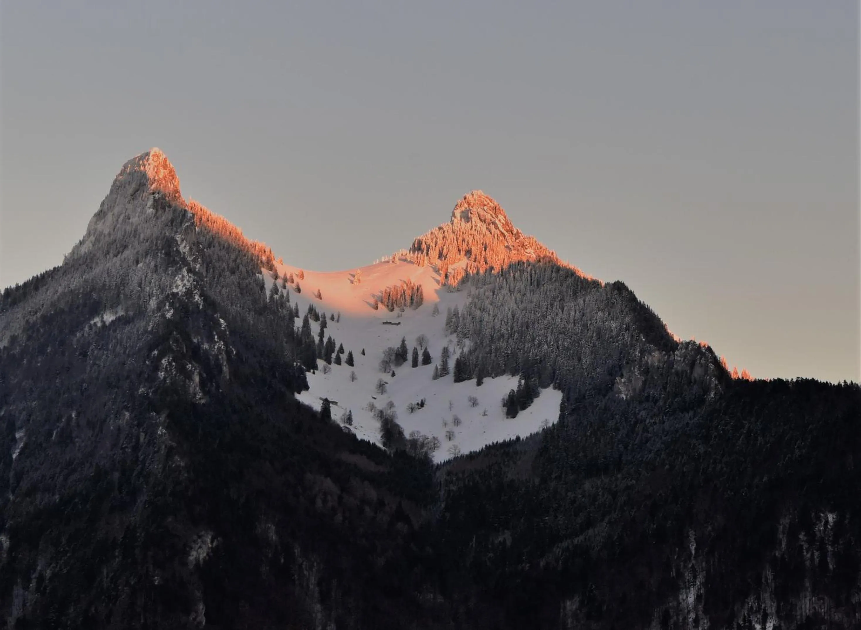 Natural landscape in Hôtel de Ville