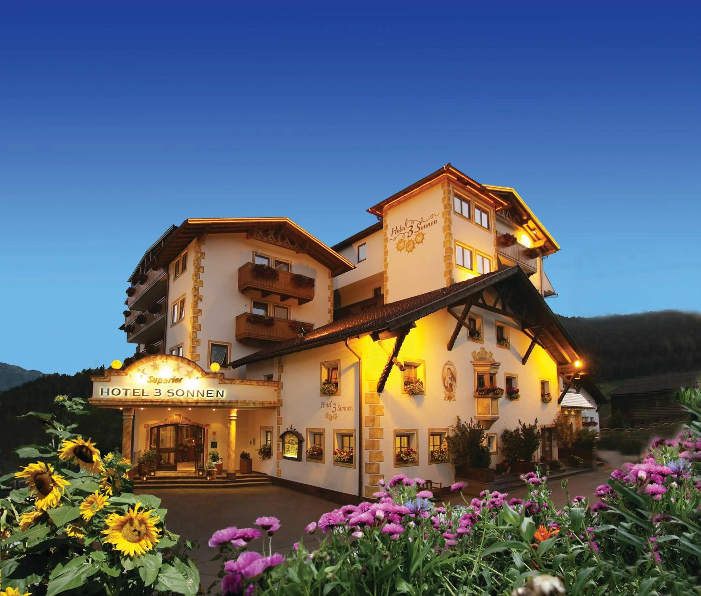 Facade/entrance in Hotel DreiSonnen