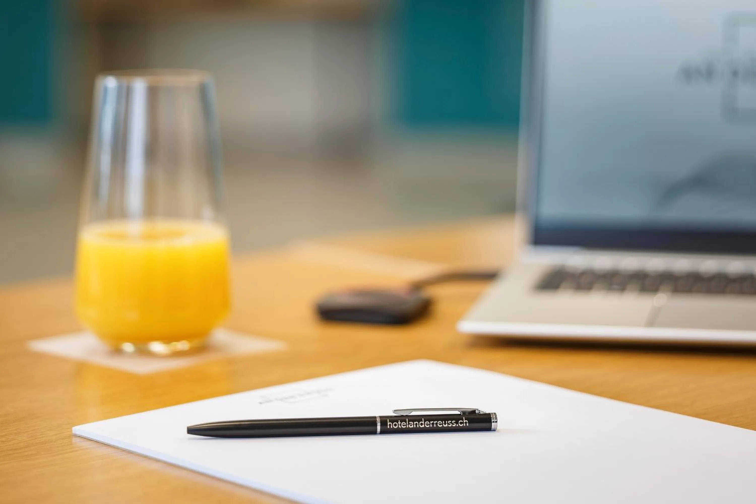 Business facilities in Hotel an der Reuss