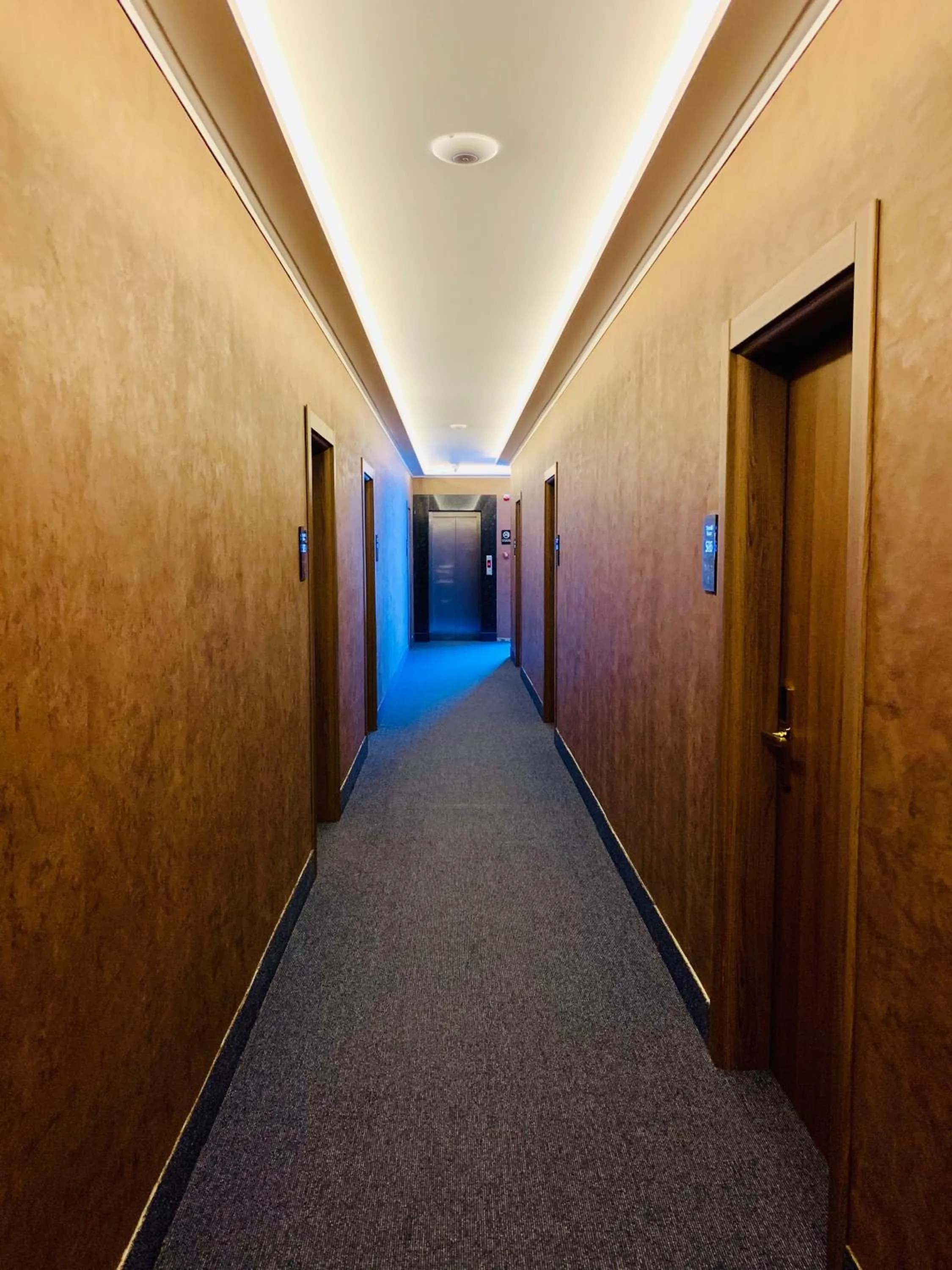 elevator in Hotel Tsereteli Palace