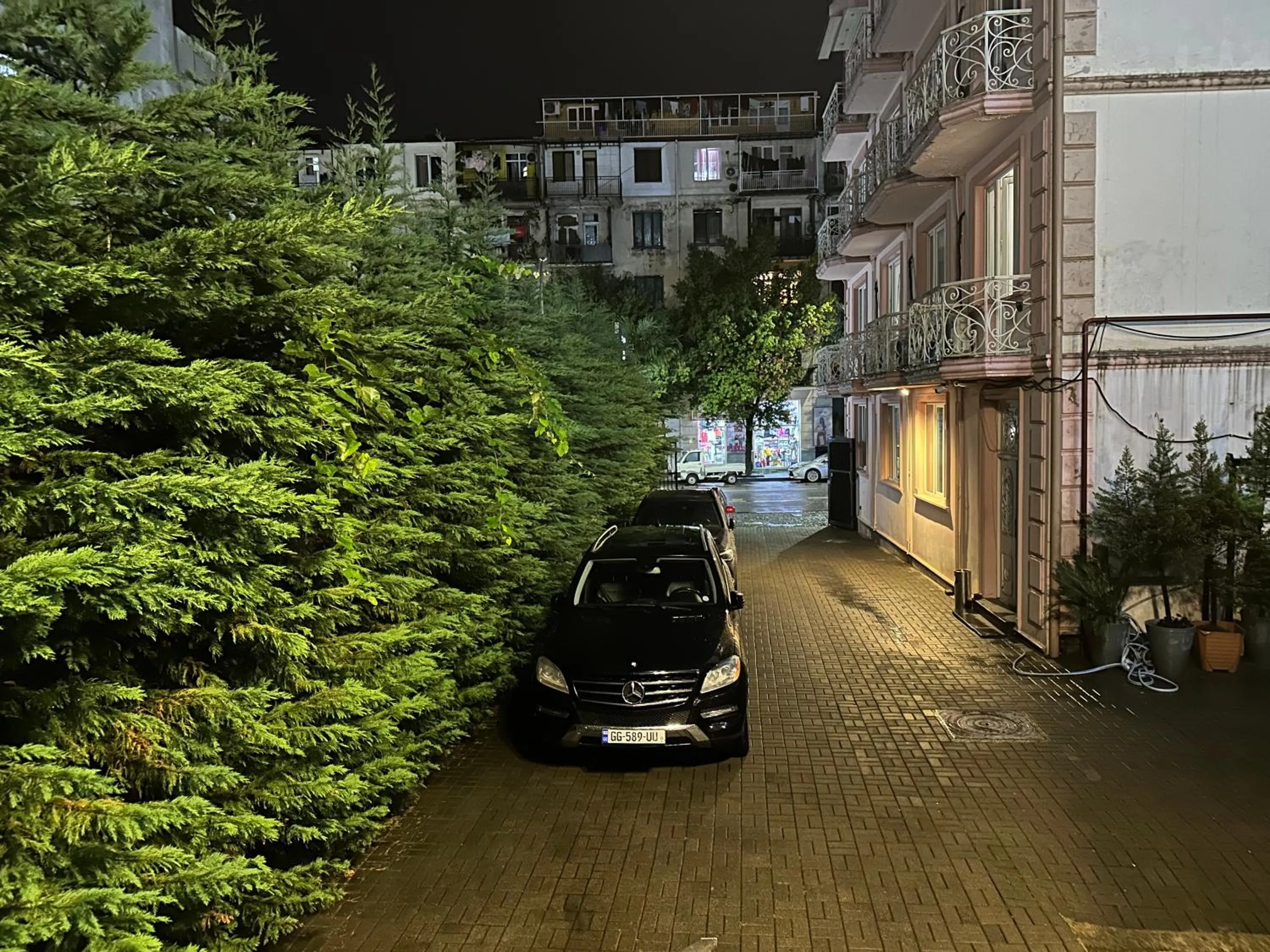 Street view in Hotel Tsereteli Palace