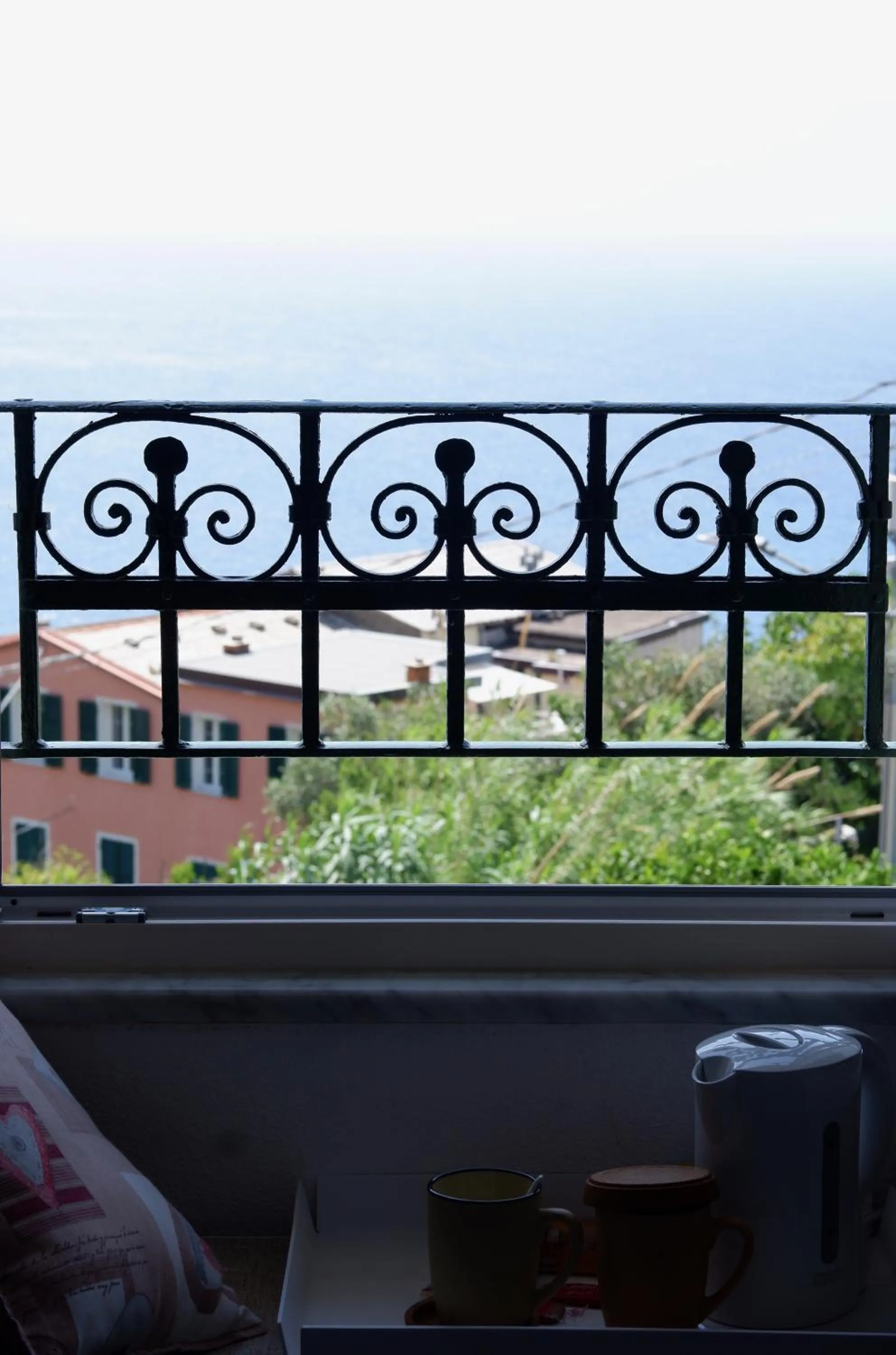 View (from property/room) in Madüneta 5 Terre