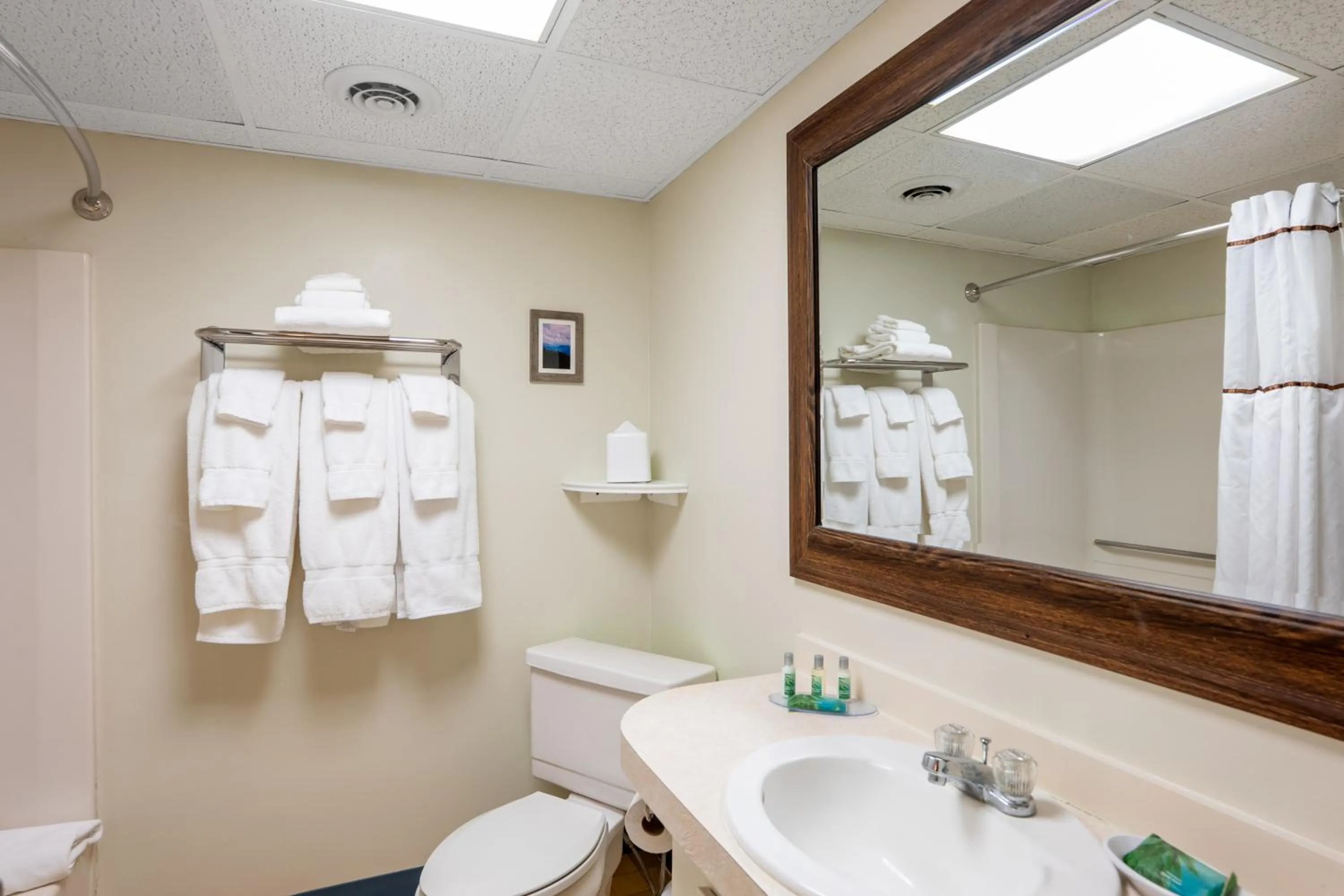 Bathroom in Fireside Inn & Suites Gilford
