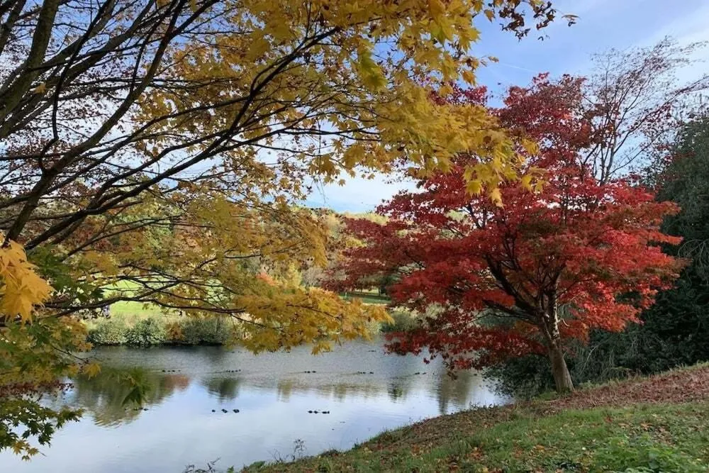 Activities in The Swan Inn