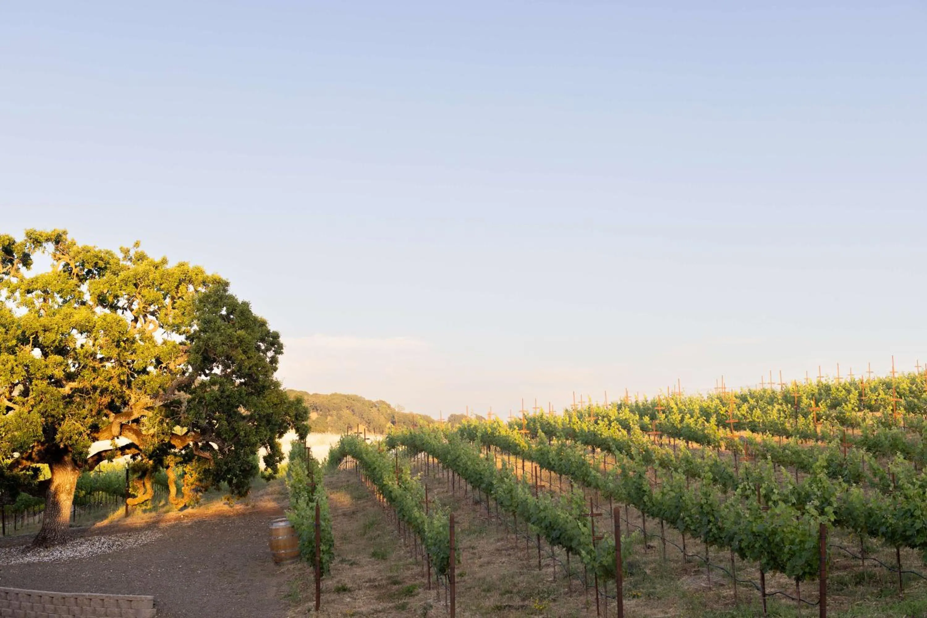 Property building in The Meritage Resort and Spa