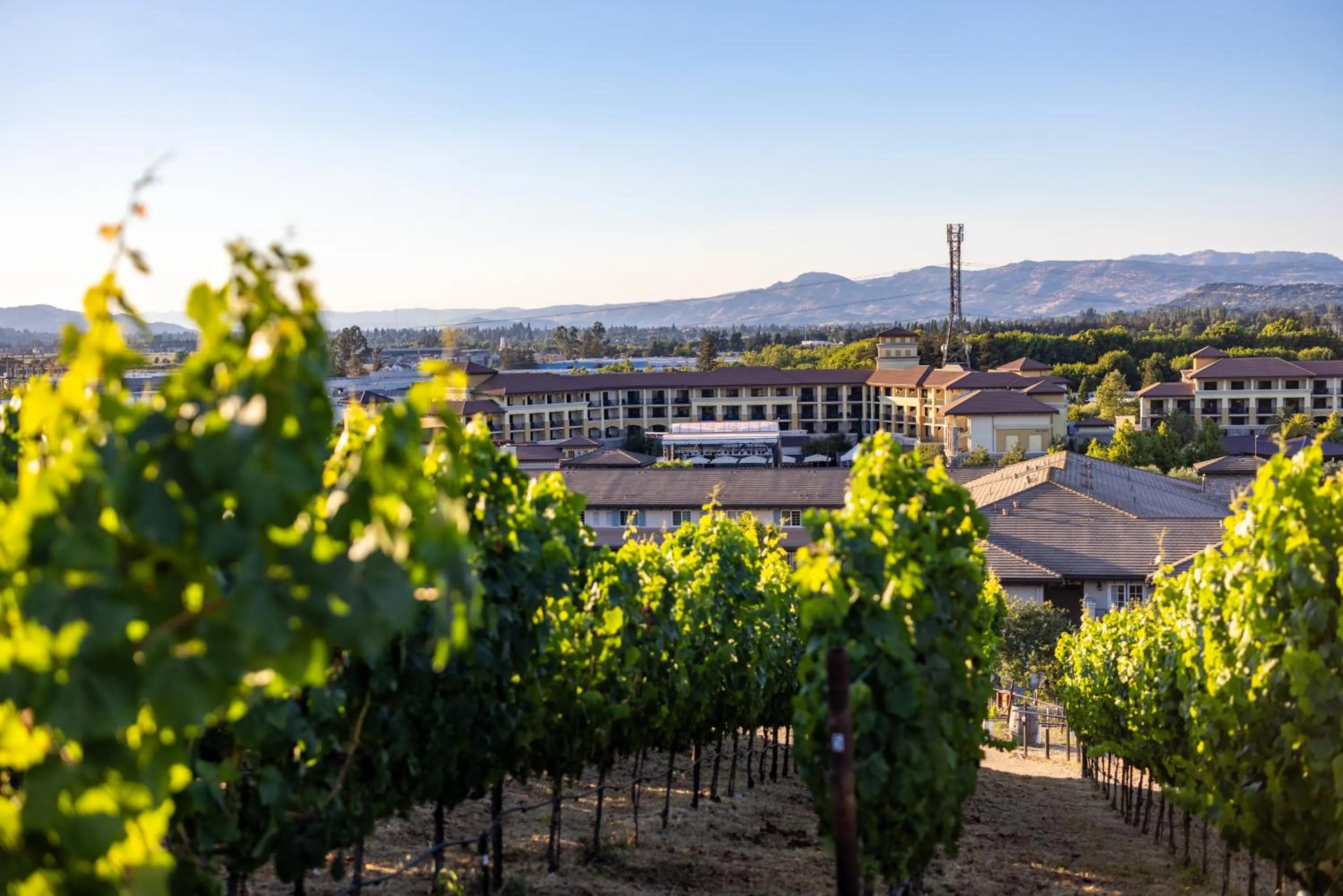 Property building in The Meritage Resort and Spa