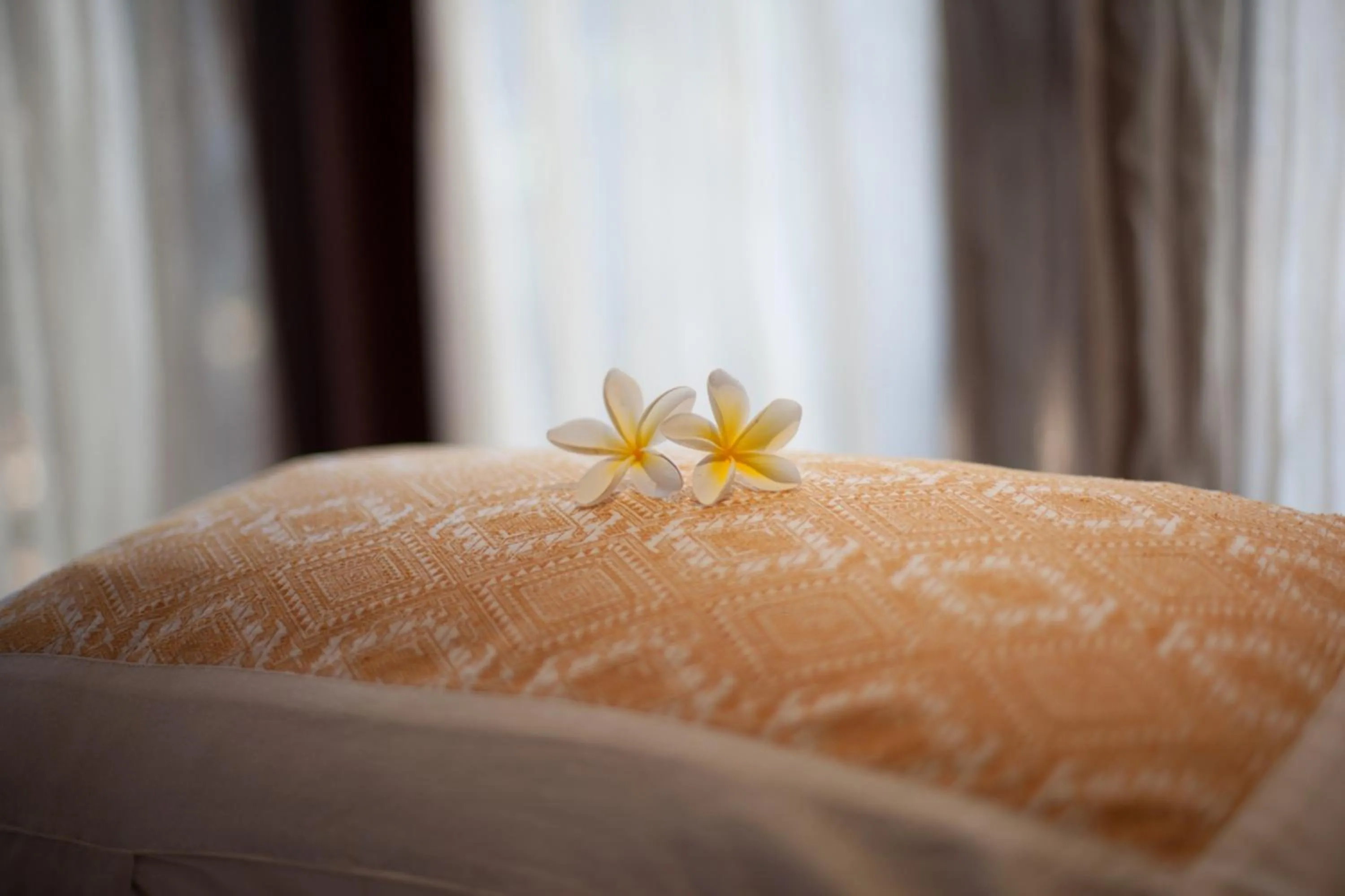 Spa and wellness centre/facilities, Bed in Green Park Boutique Hotel