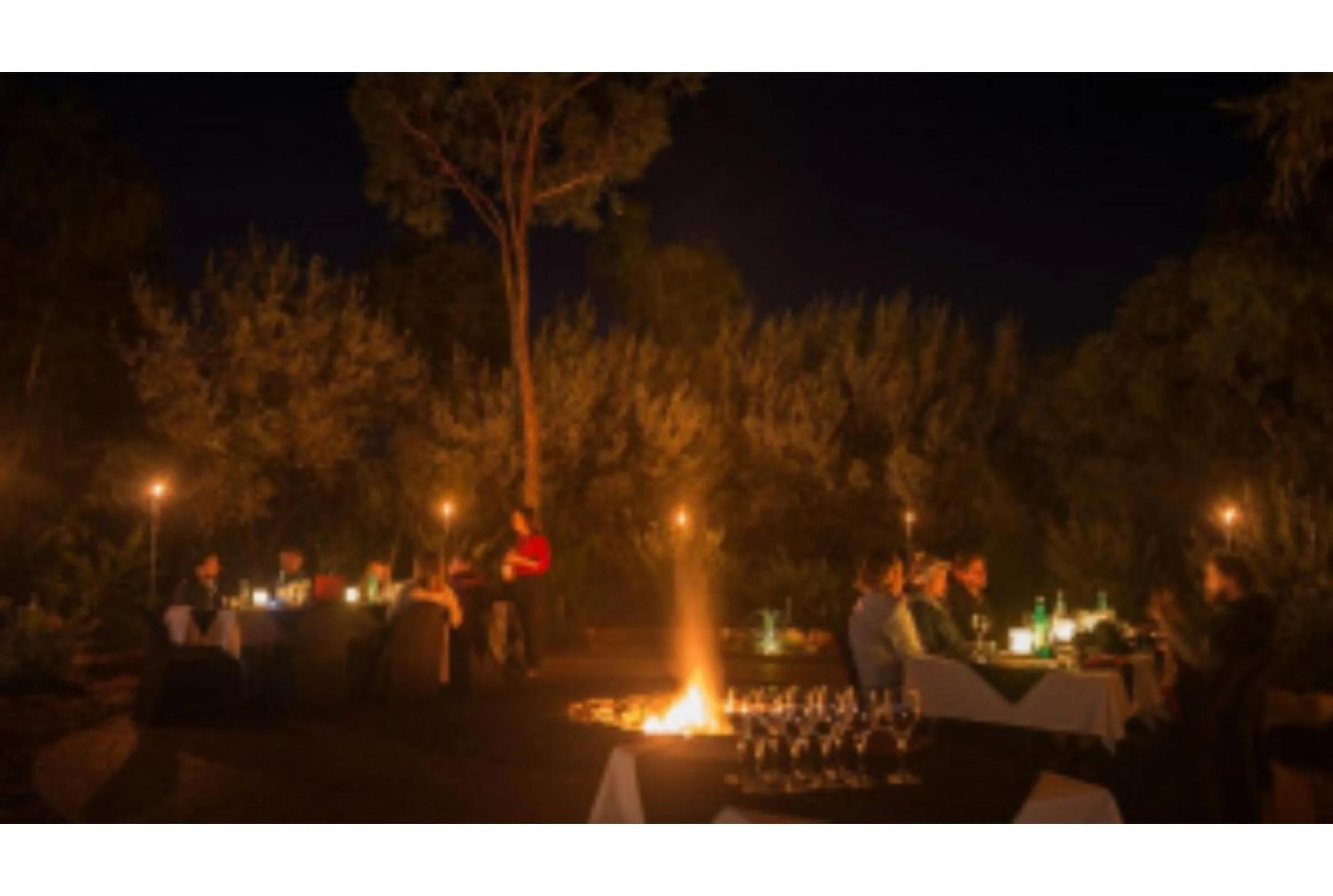 Dinner in Discovery Resorts - Kings Canyon