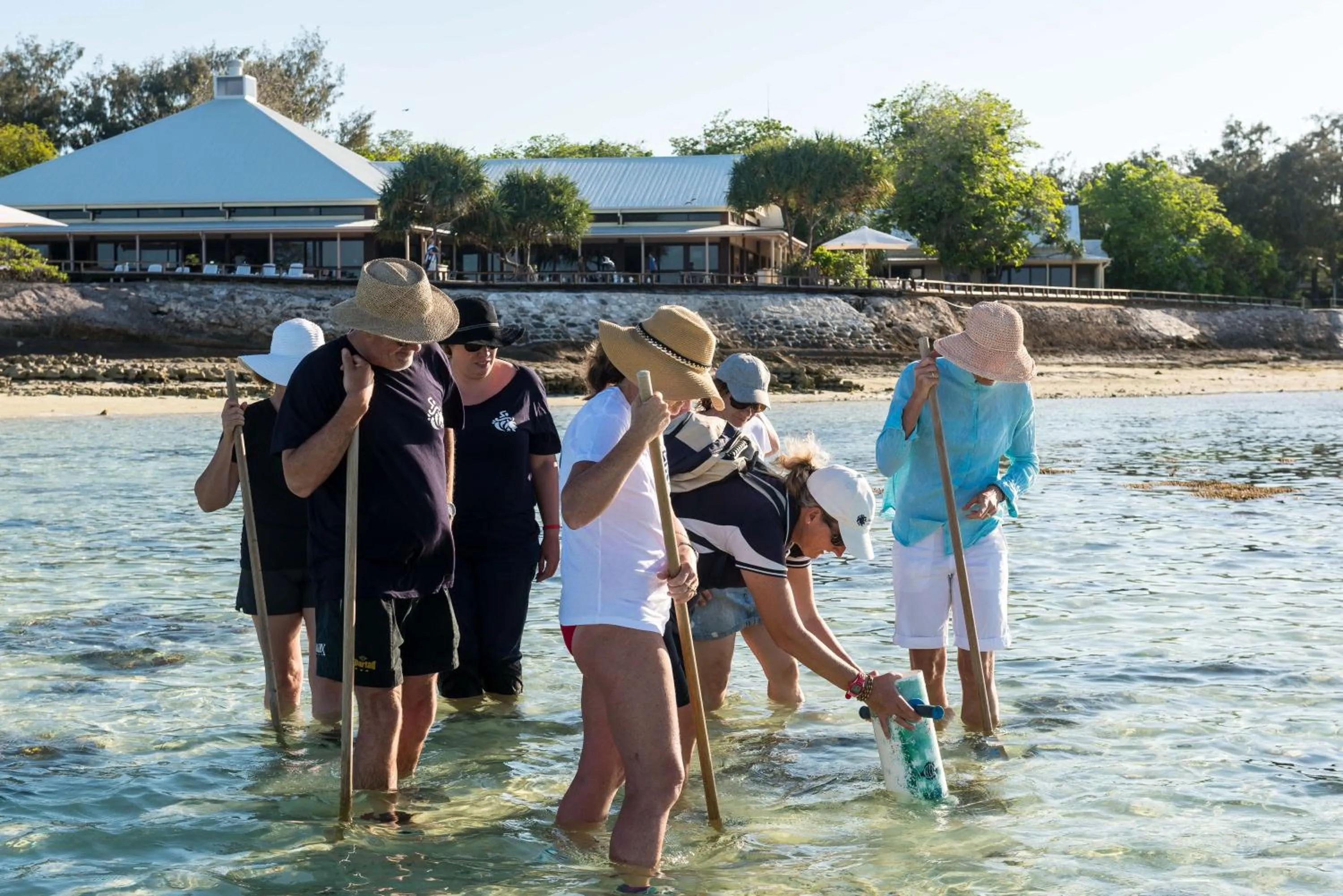 Activities in Heron Island