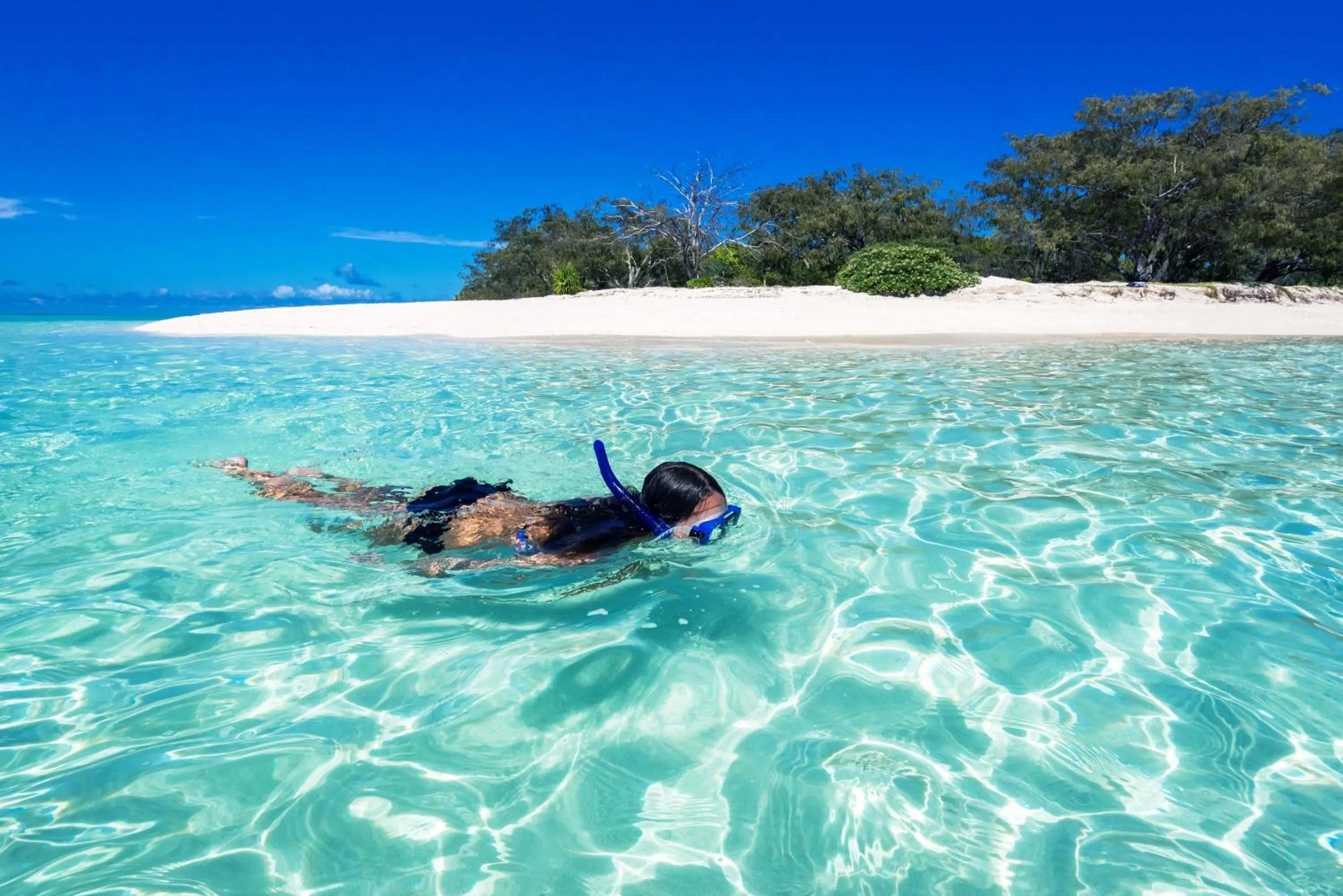 Activities in Heron Island