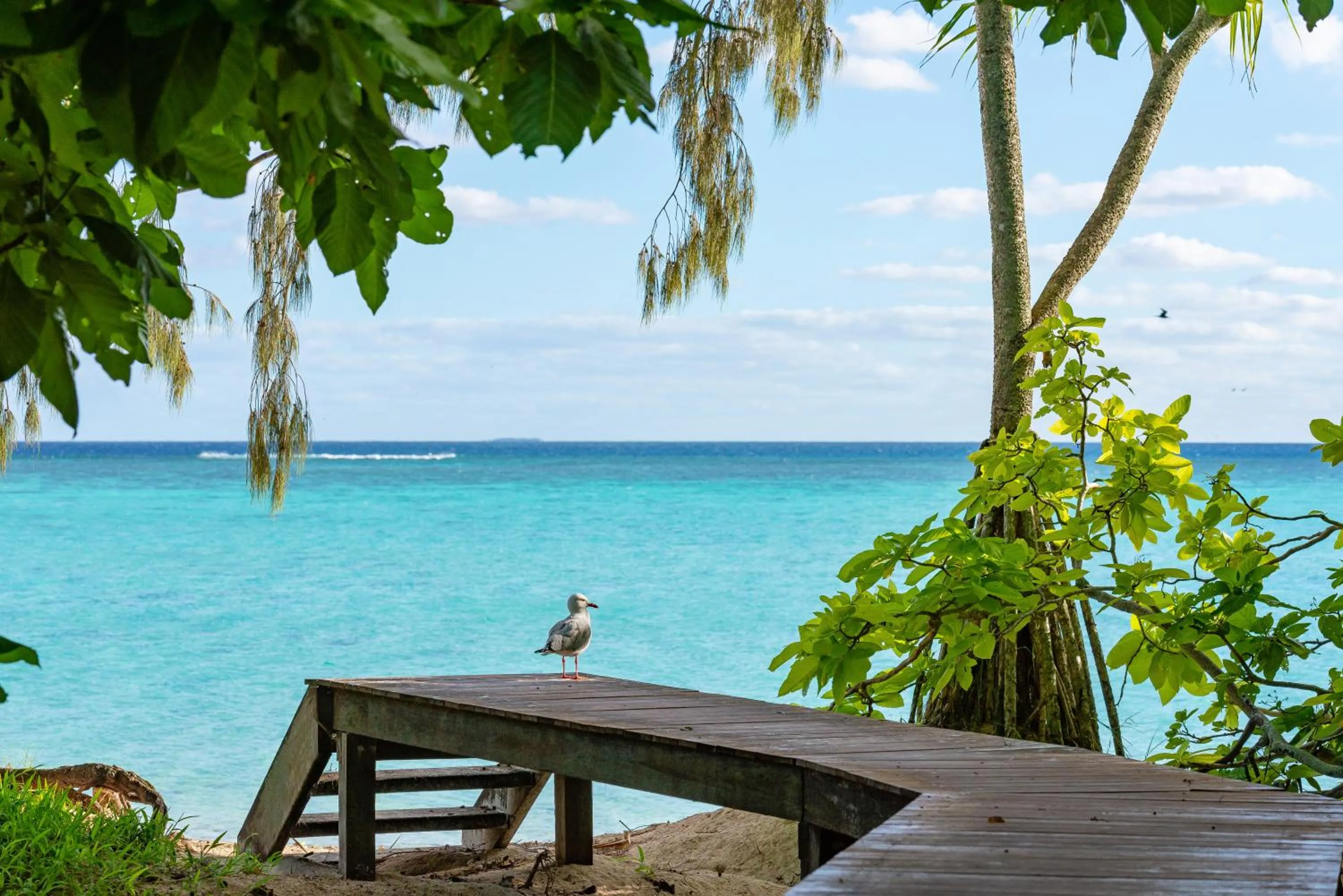 Sea view in Heron Island
