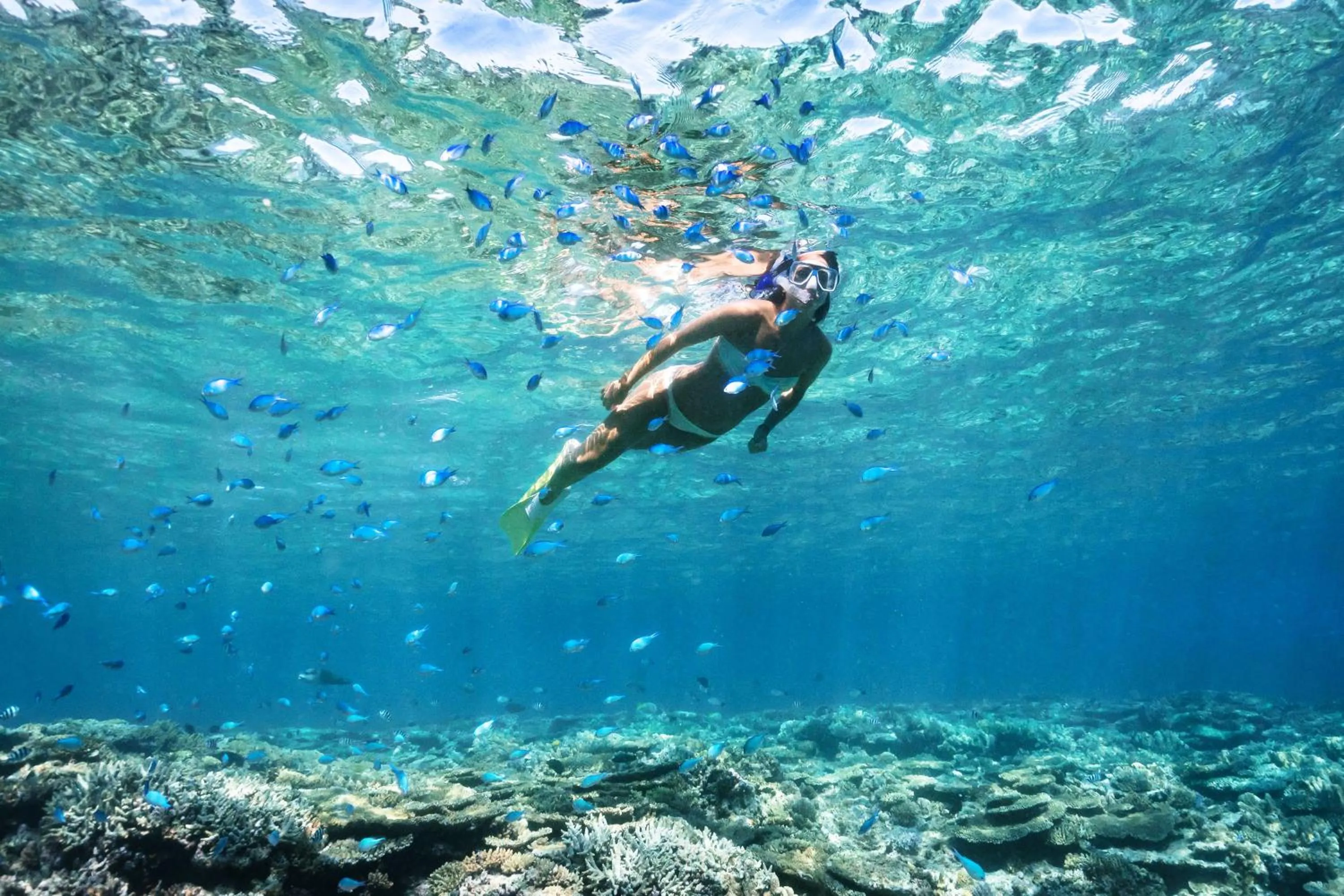 Activities in Heron Island