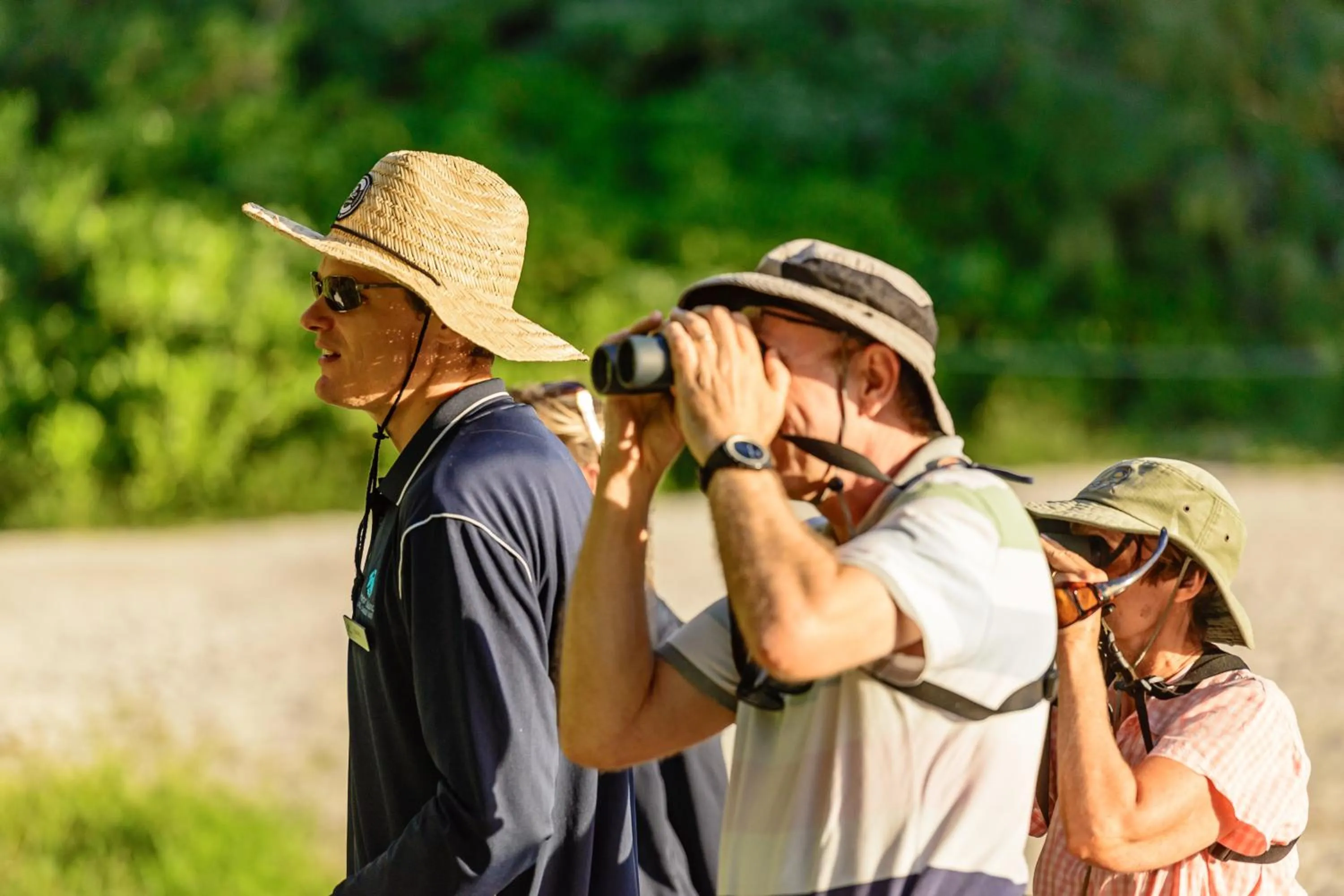 Activities in Heron Island