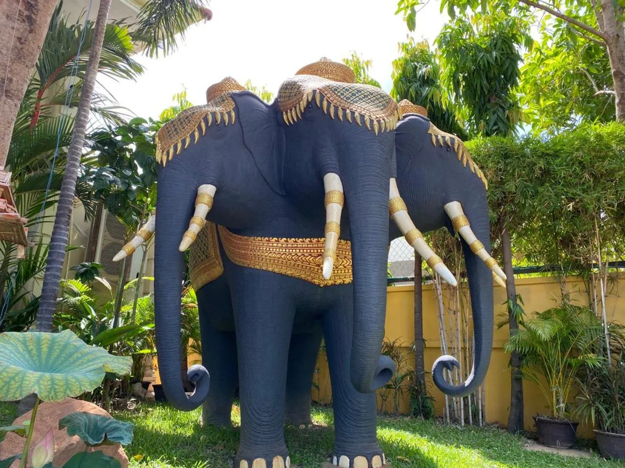 Garden in Monoreach Angkor Hotel