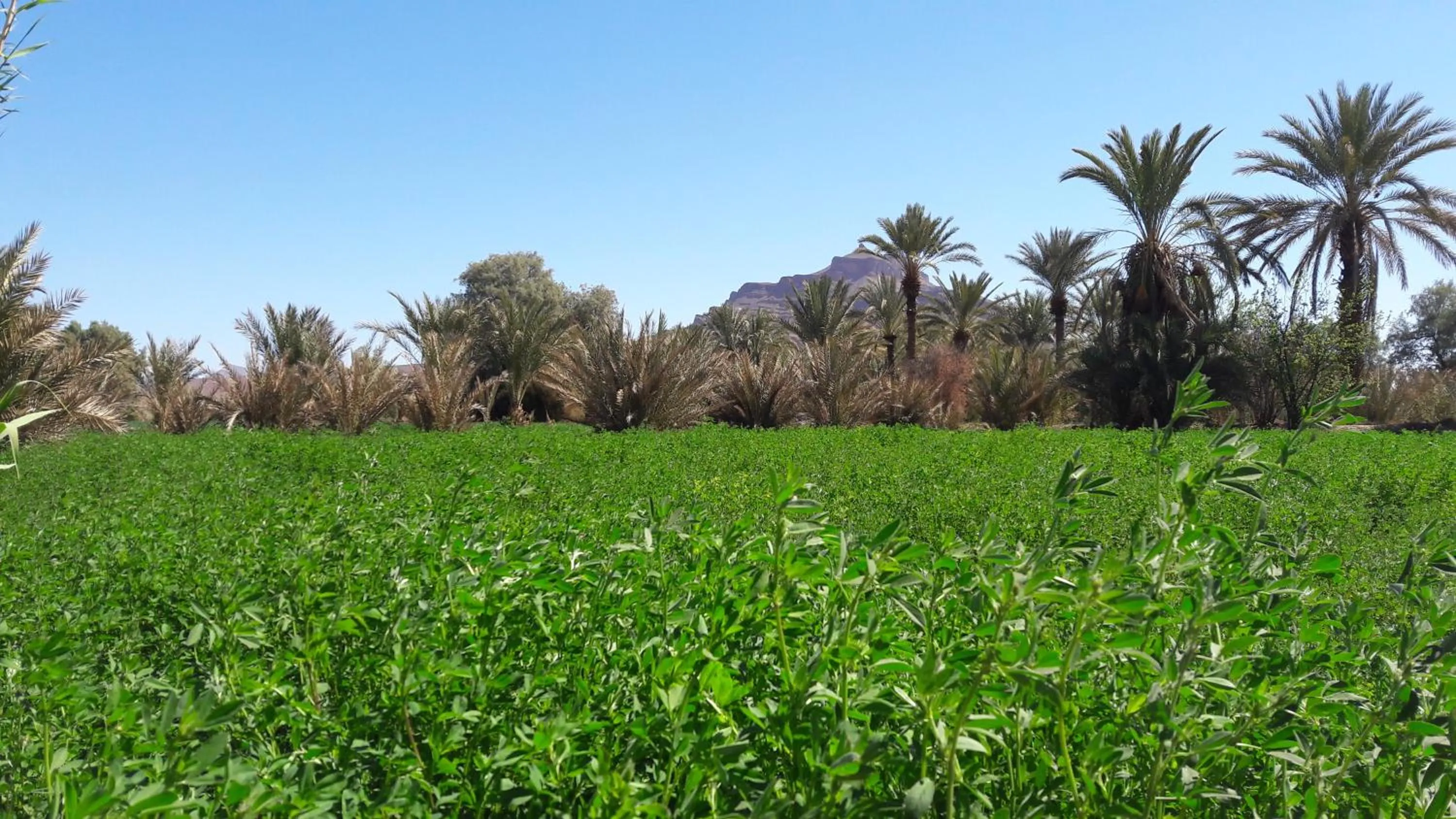 Natural landscape in Dar Qamar