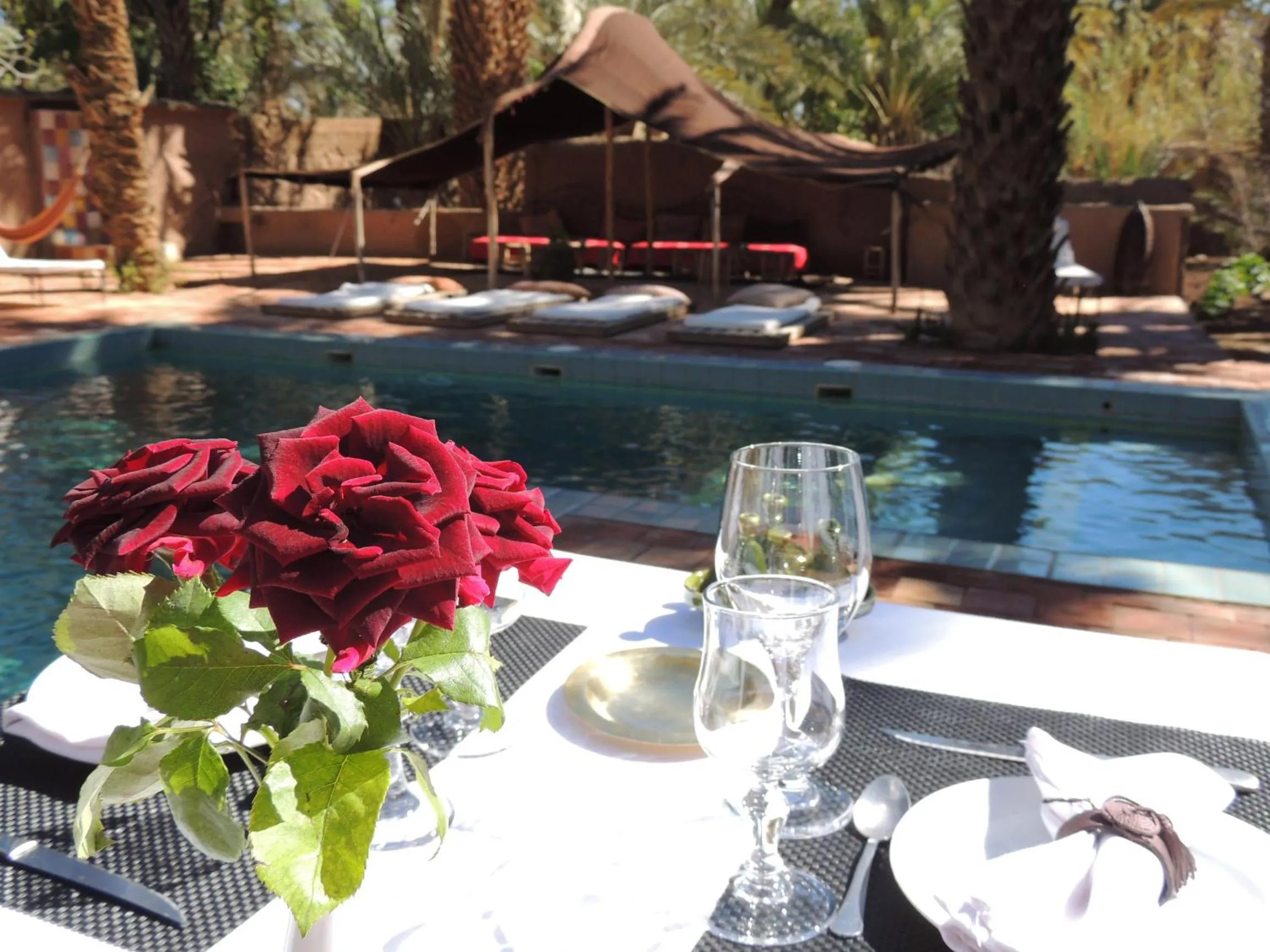 Restaurant/places to eat in Dar Qamar