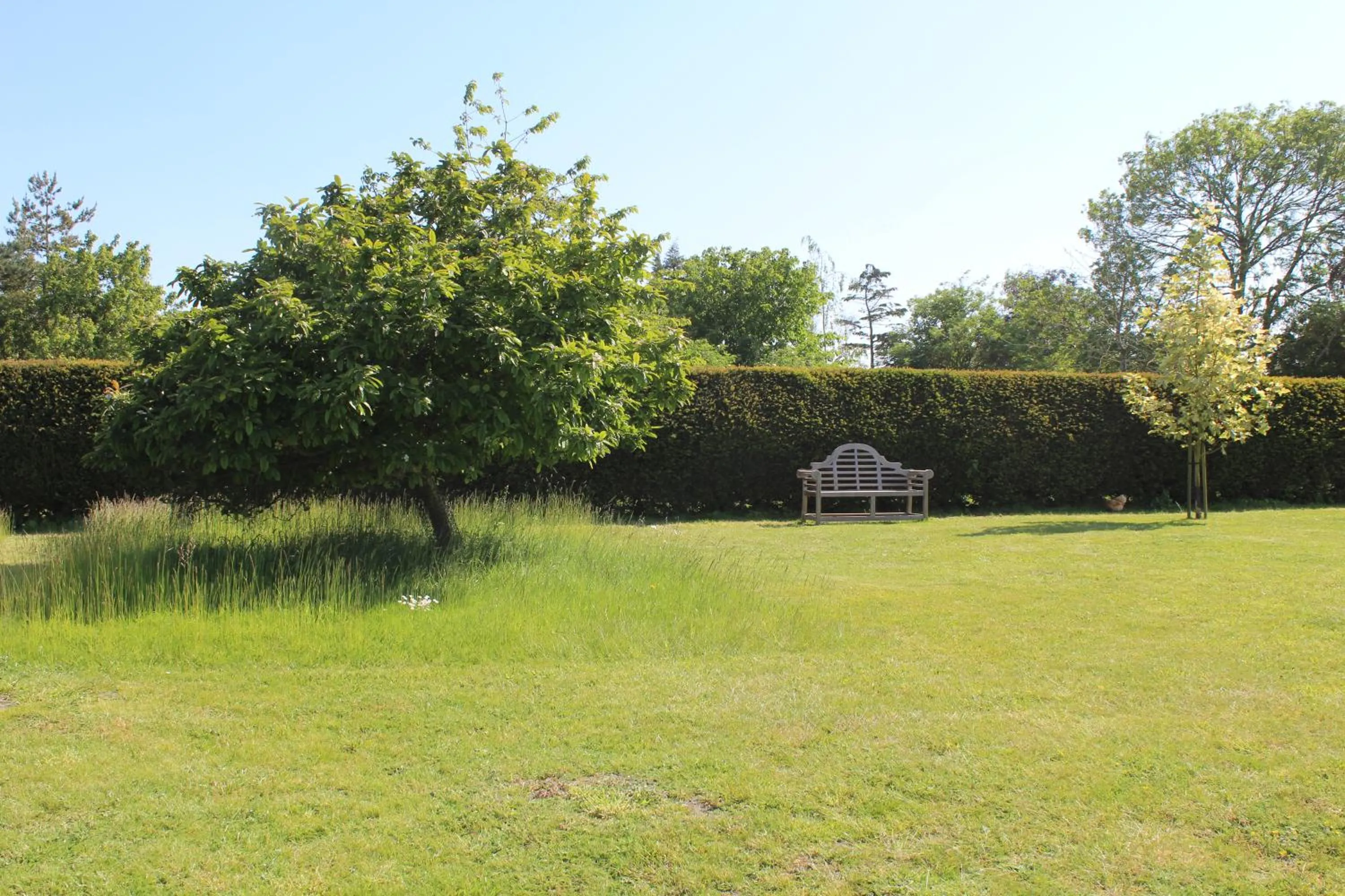 Natural landscape in Dairy Cottage Luxury B&B