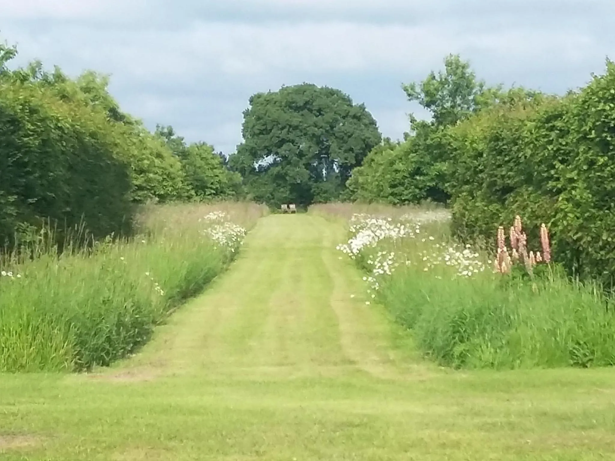 Natural landscape in Dairy Cottage Luxury B&B