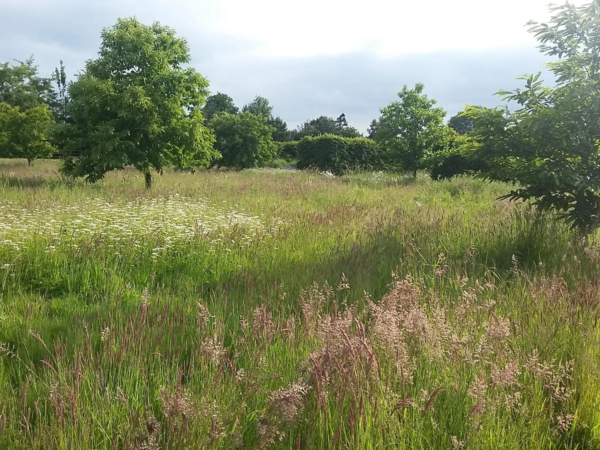 Natural landscape in Dairy Cottage Luxury B&B