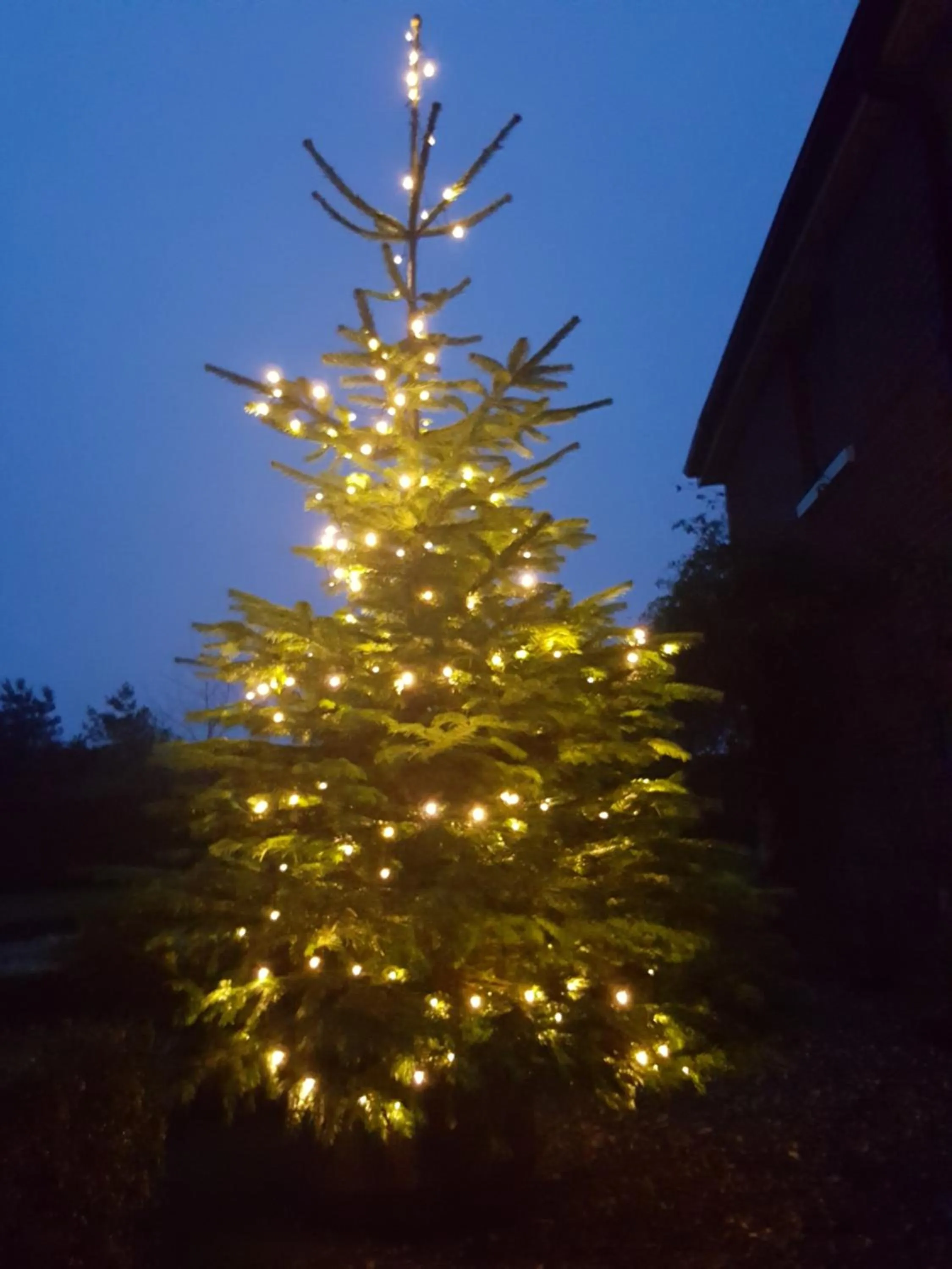 Night in Dairy Cottage Luxury B&B