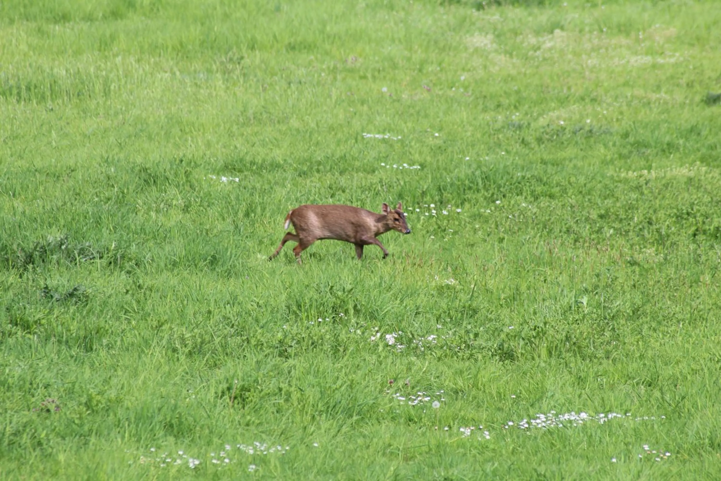 Natural landscape in Dairy Cottage Luxury B&B
