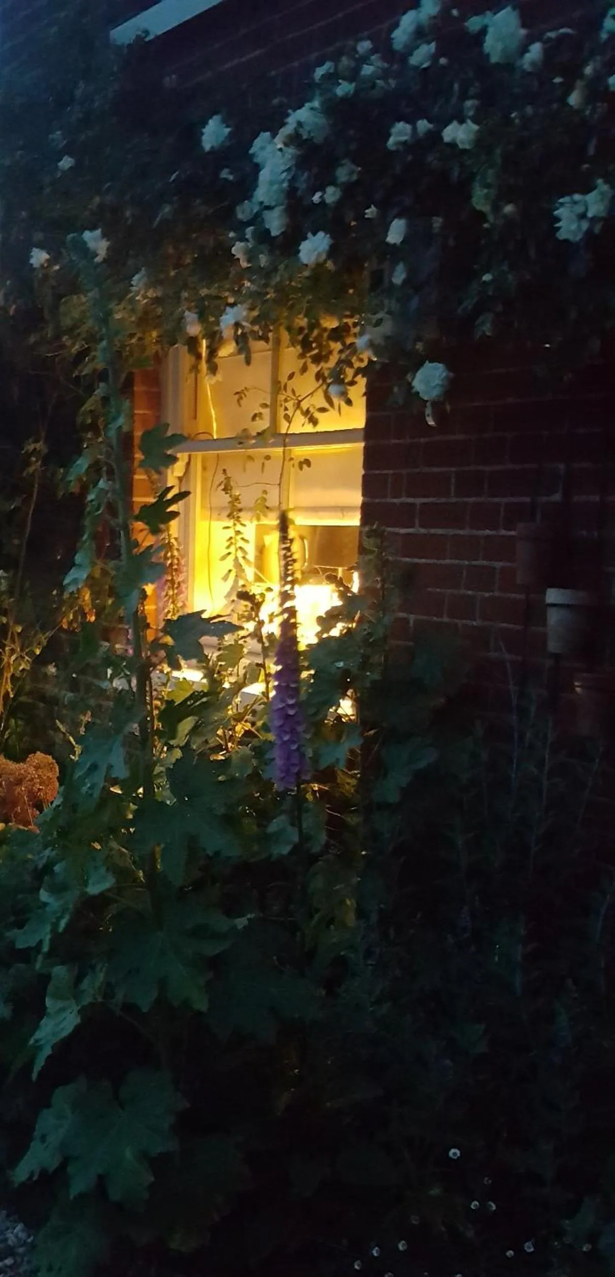 Property building in Dairy Cottage Luxury B&B