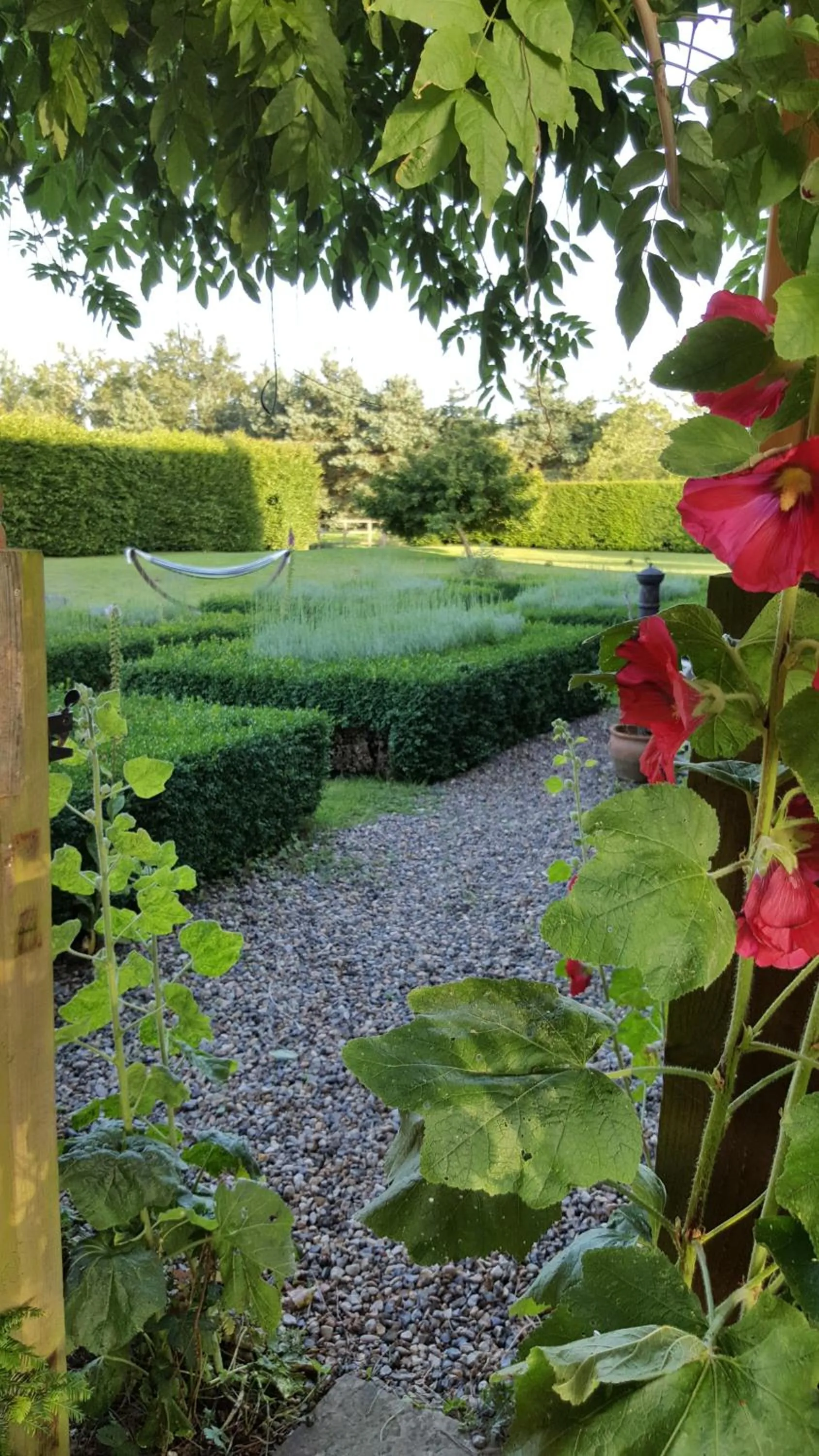 Natural landscape in Dairy Cottage Luxury B&B