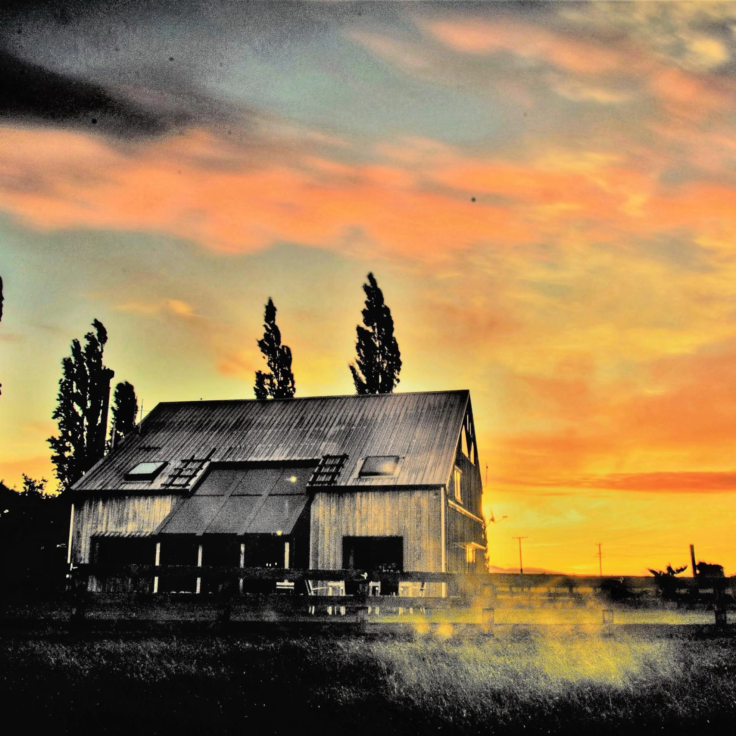 Property building in housewithnonails