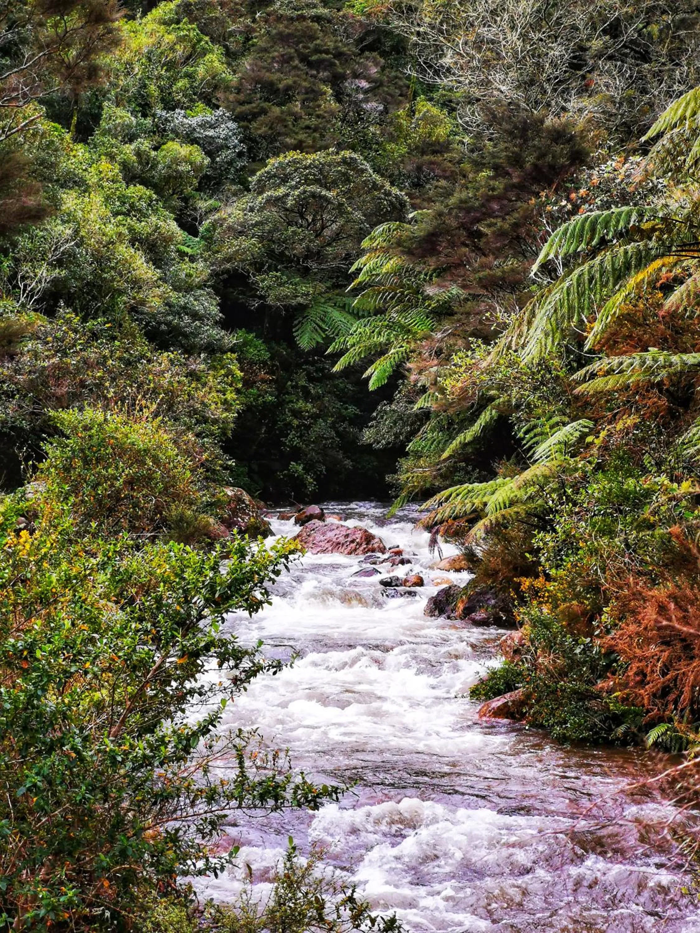 Activities in housewithnonails