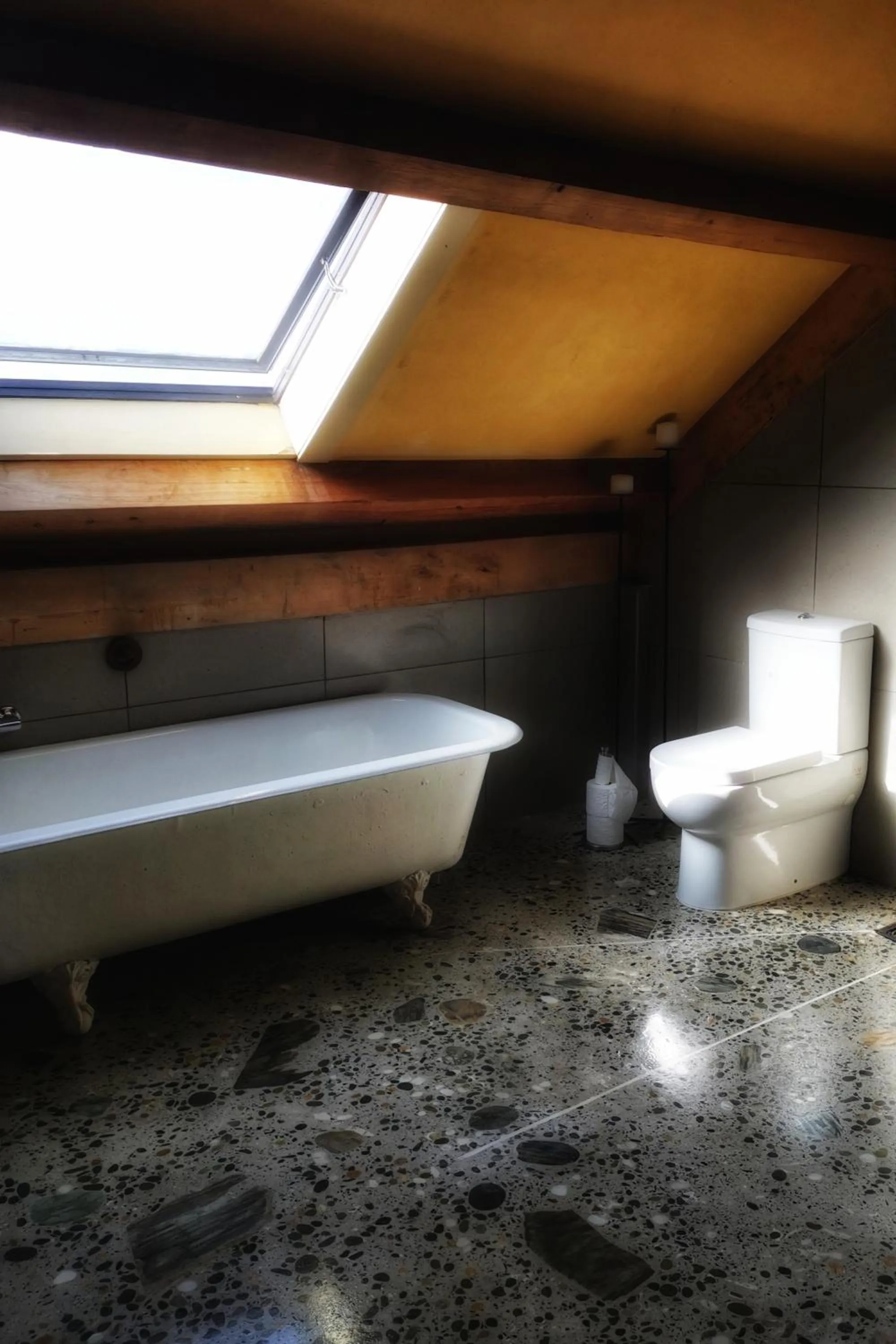 Toilet in housewithnonails