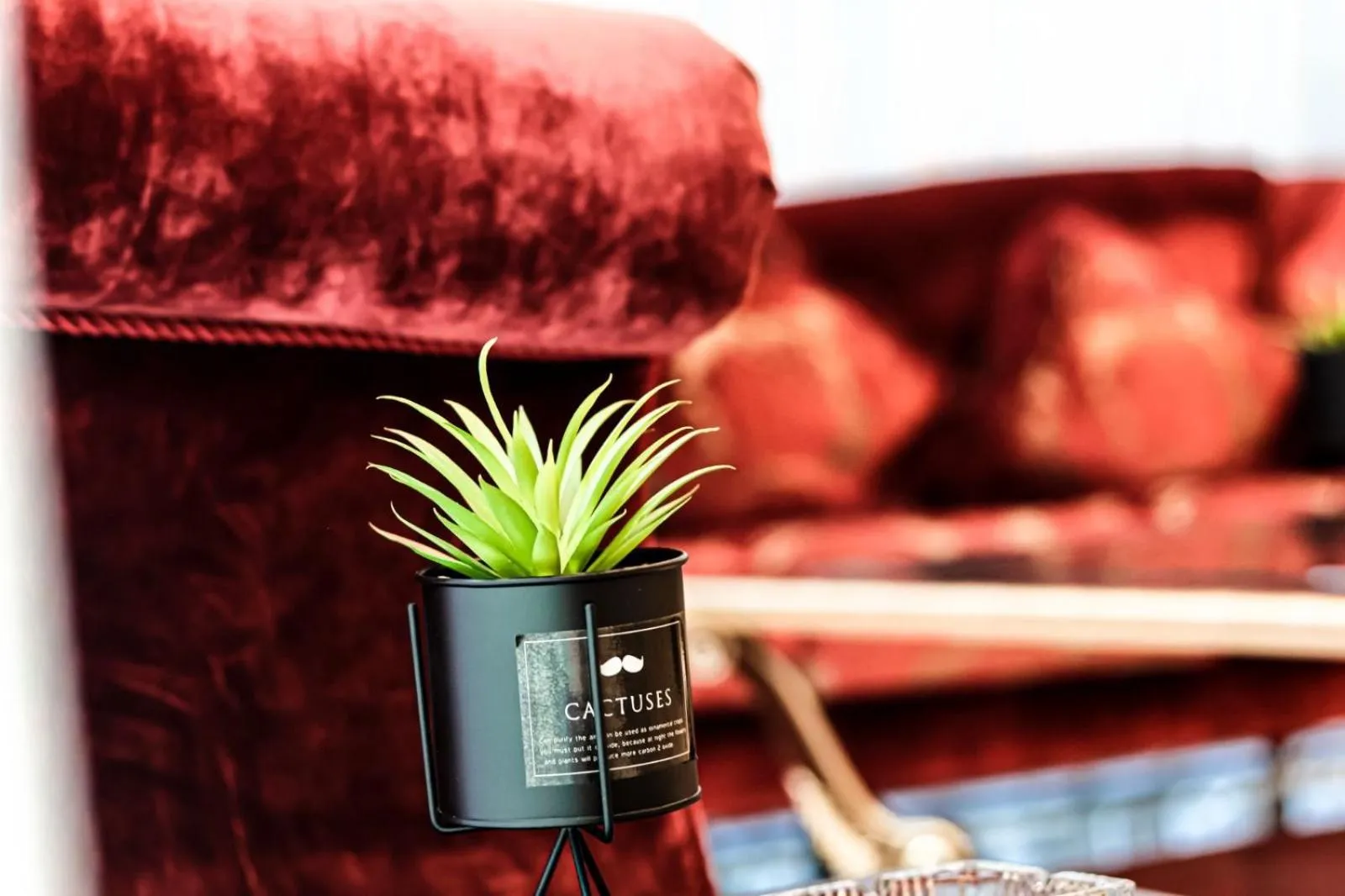 Lobby or reception in Odst Jeddah