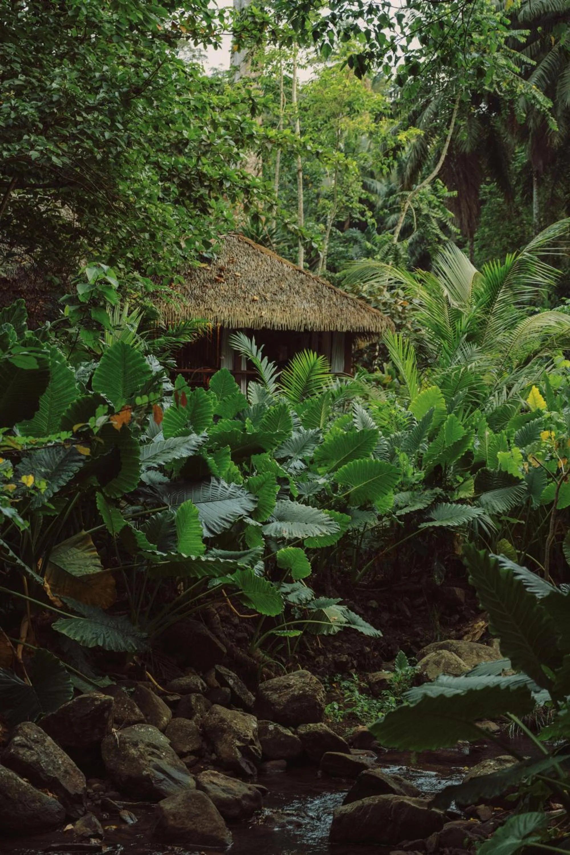 Natural landscape in Sundy Praia - Principe Collection