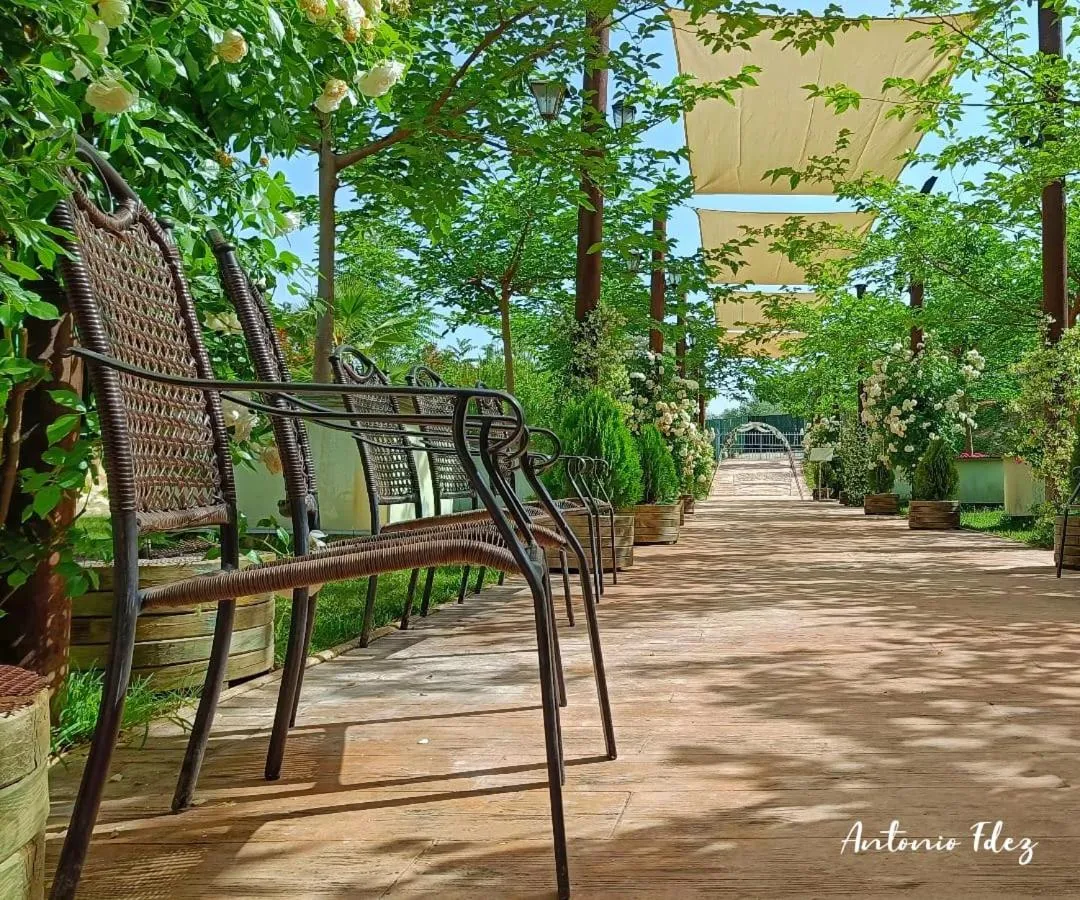 Garden in Hotel Plaza Manjón