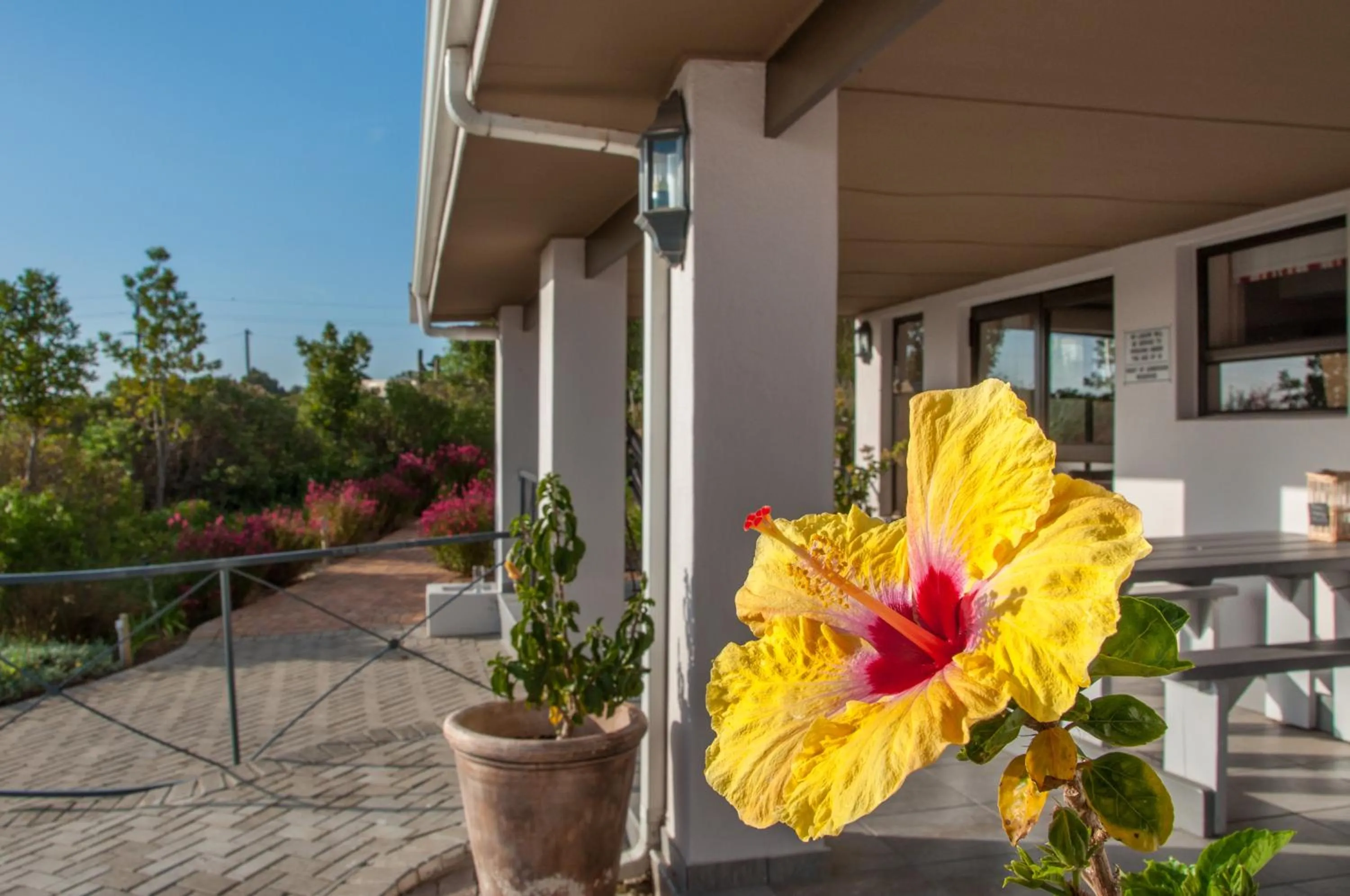 Patio in Wind-Rose Guest House