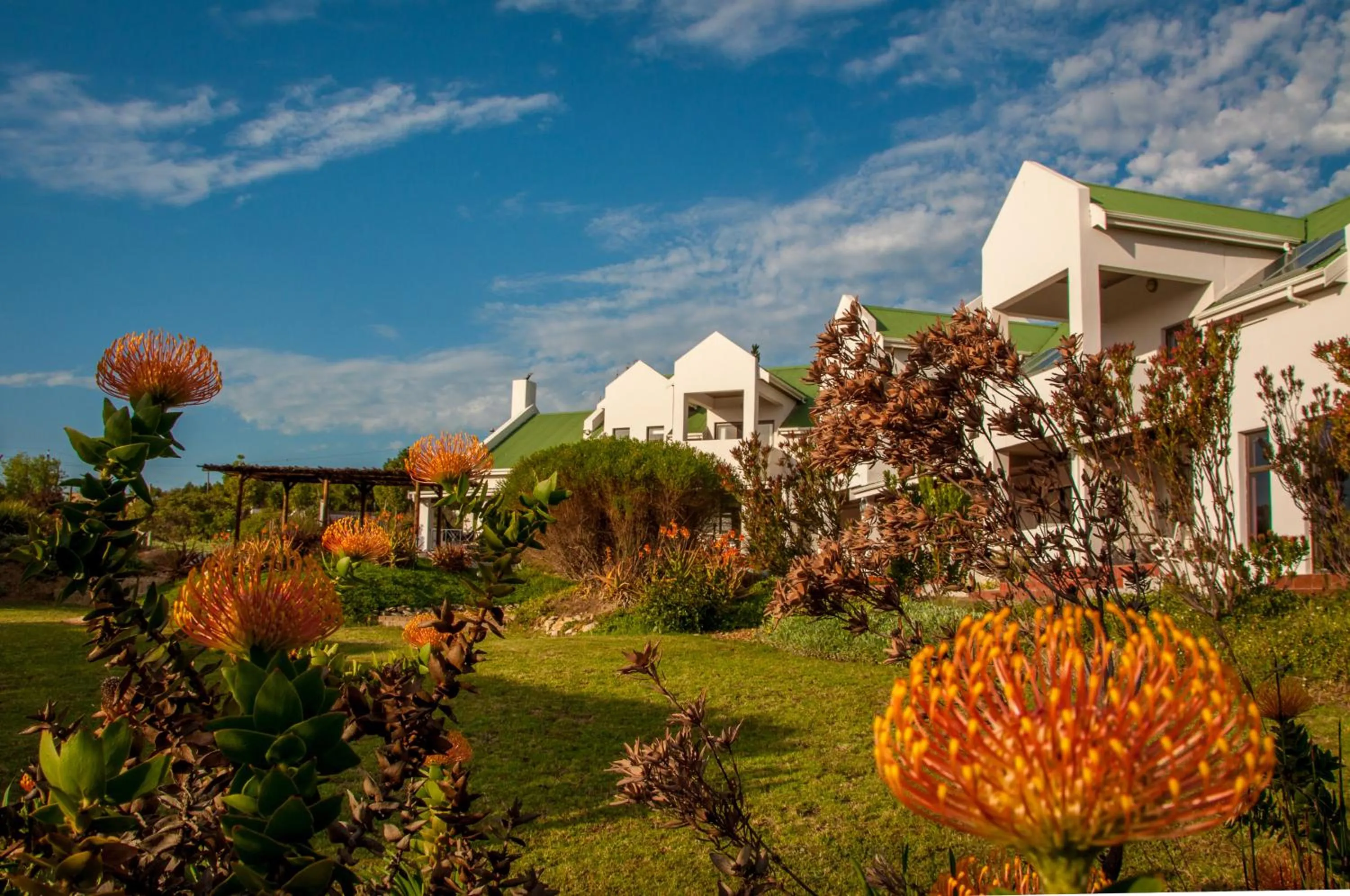 Property building in Wind-Rose Guest House