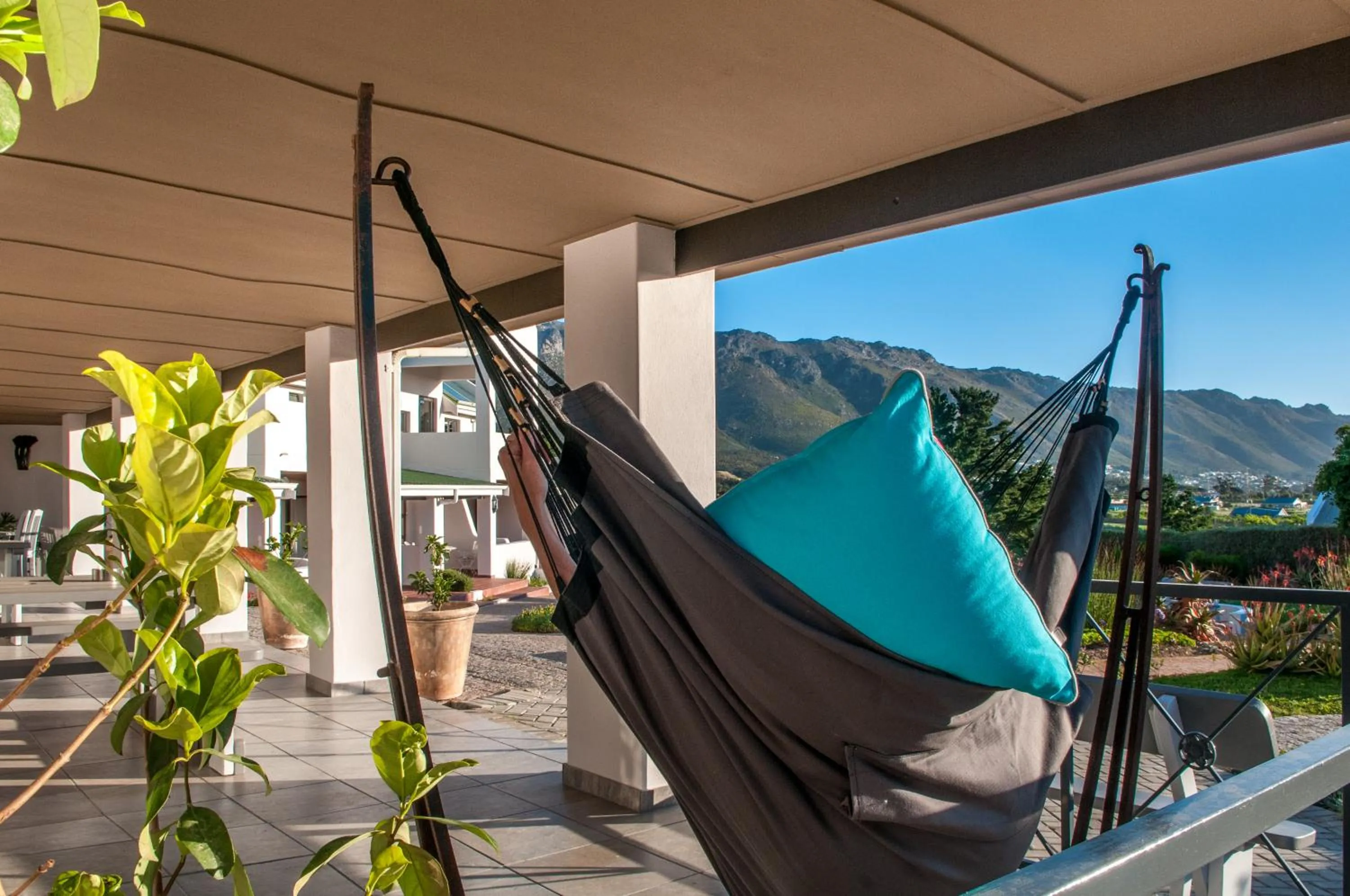 Balcony/Terrace in Wind-Rose Guest House
