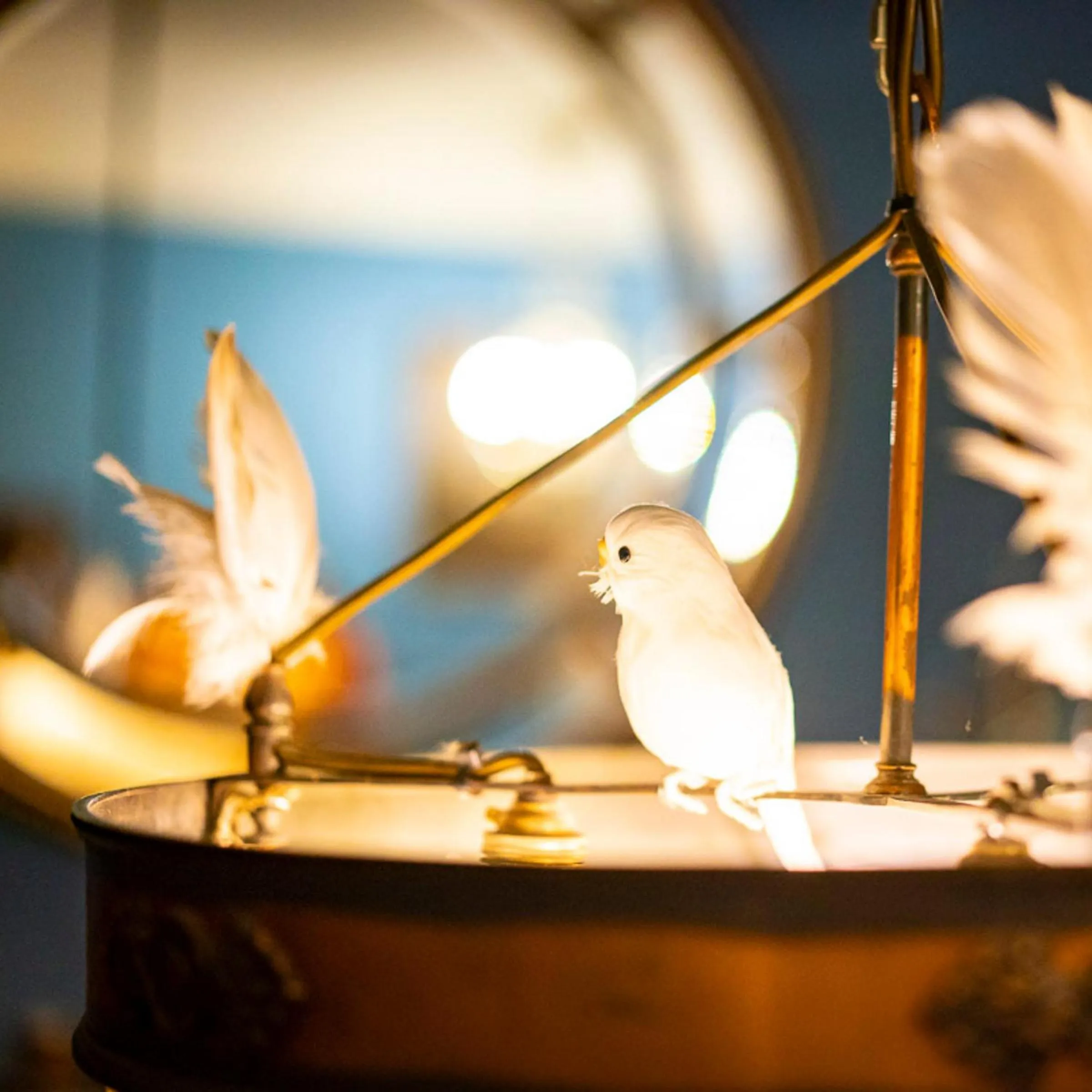 Lounge or bar in La Rosa Hotel