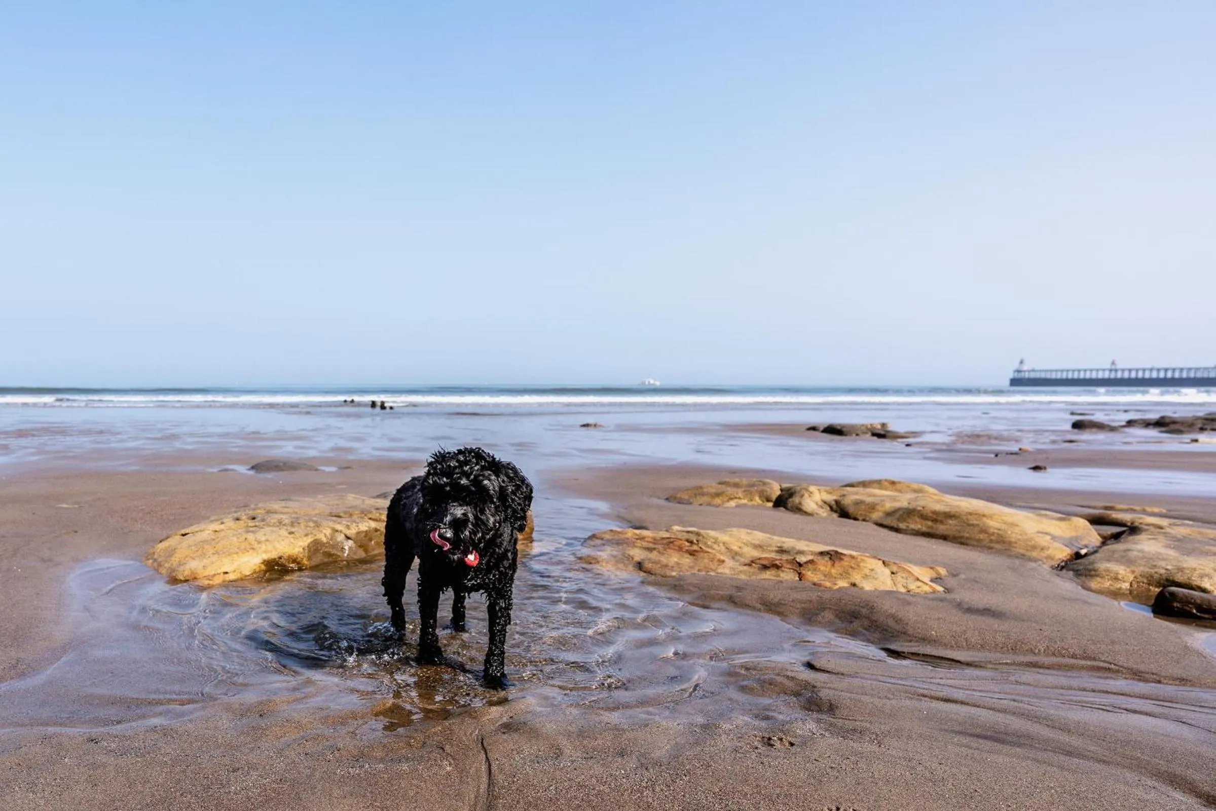 Nearby landmark in La Rosa Hotel