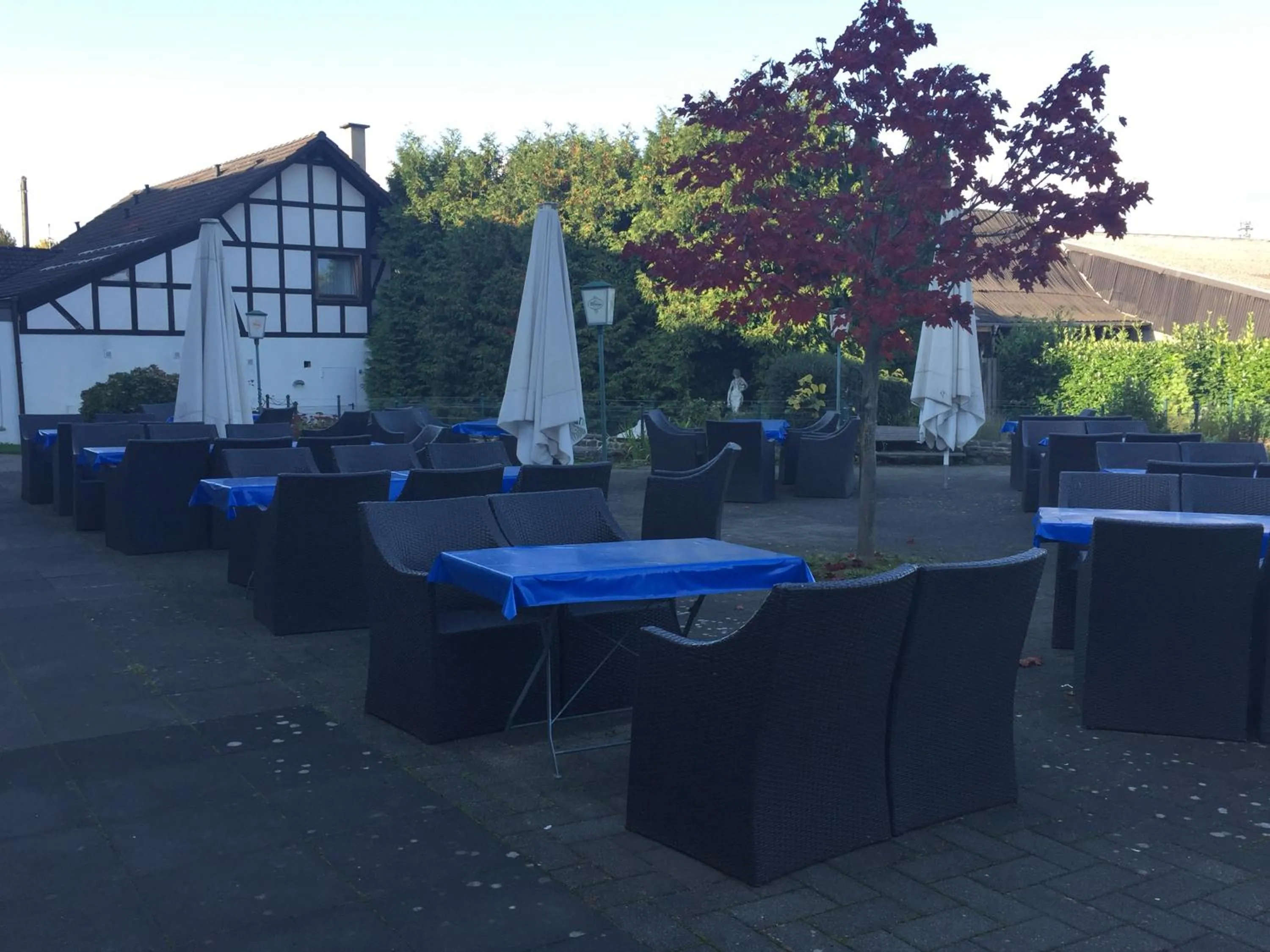 Garden in Hotel Görres