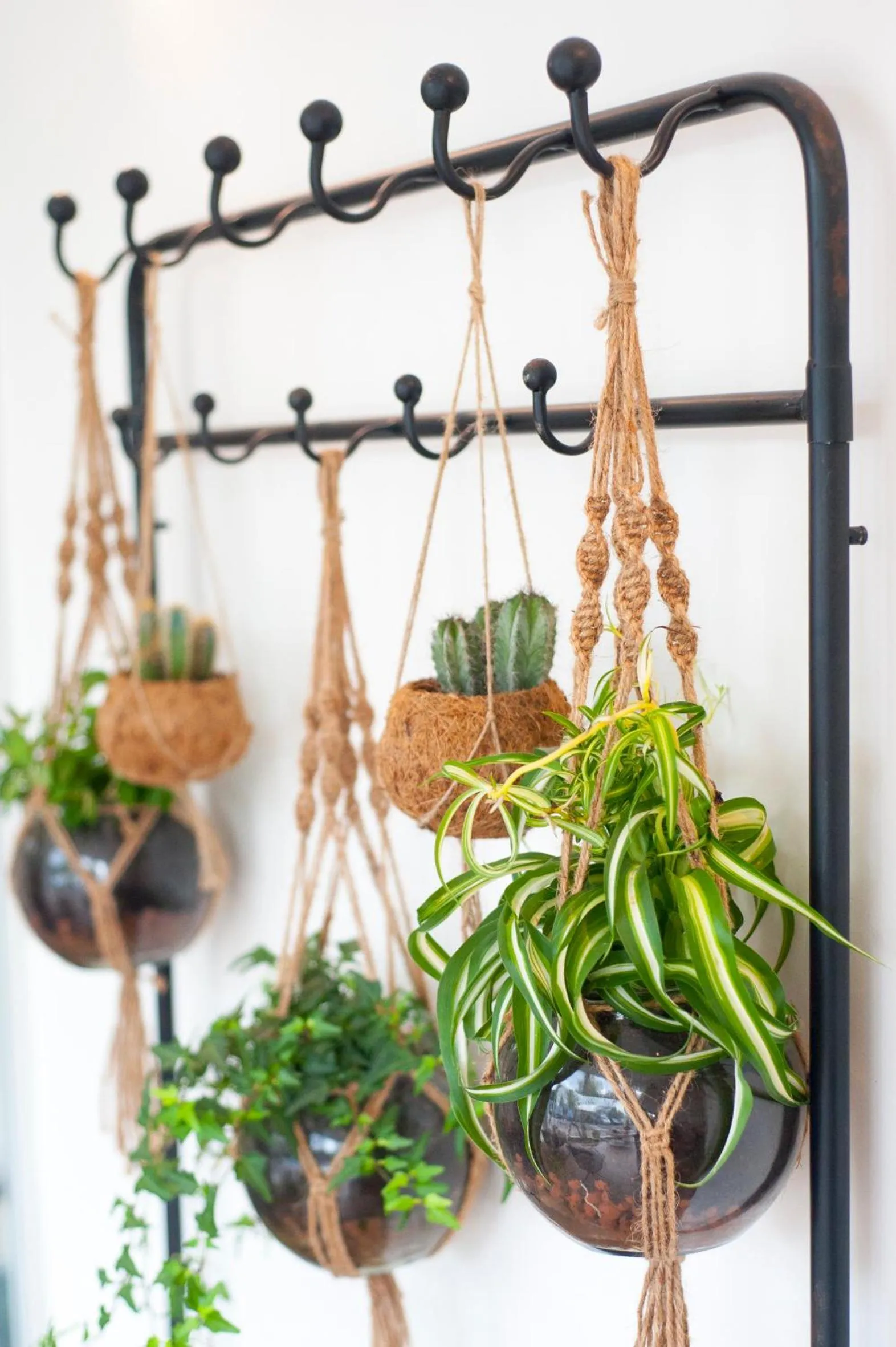 Breakfast in i hotel