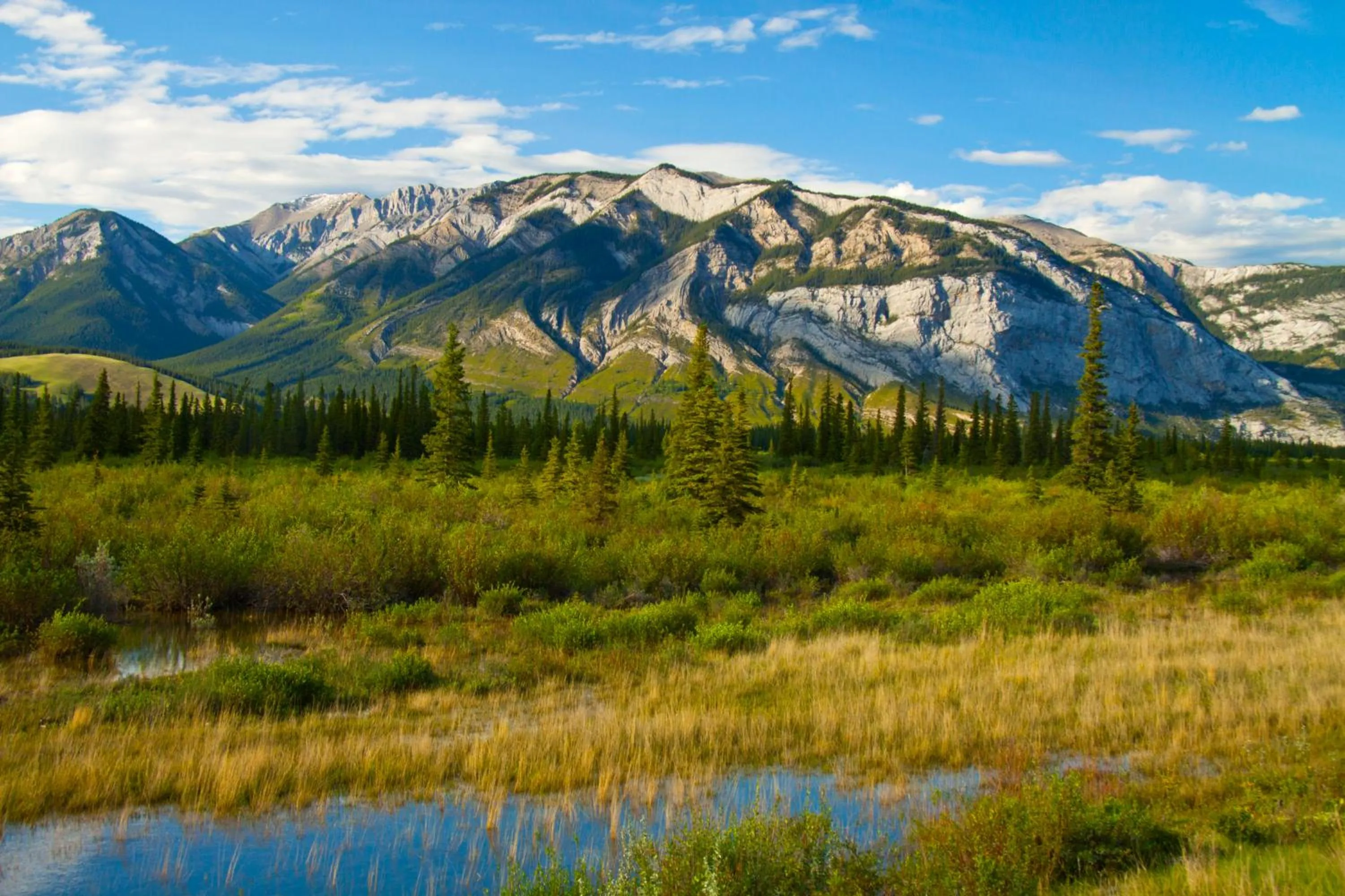 Area and facilities in Overlander Mountain Lodge