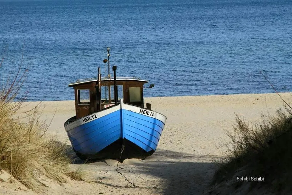 Day in Pension "Am Fischerweg"